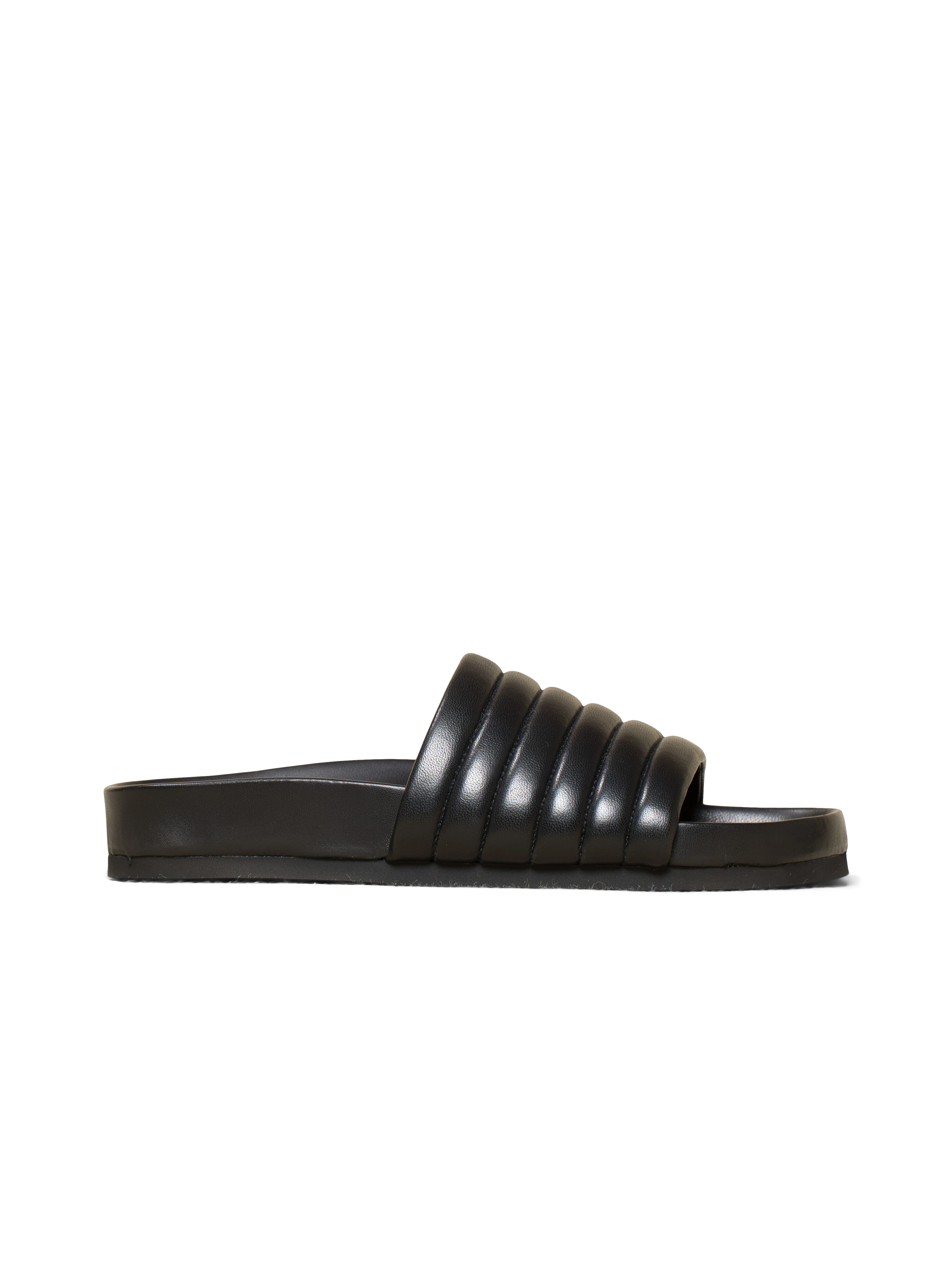 The Anita - Image 7