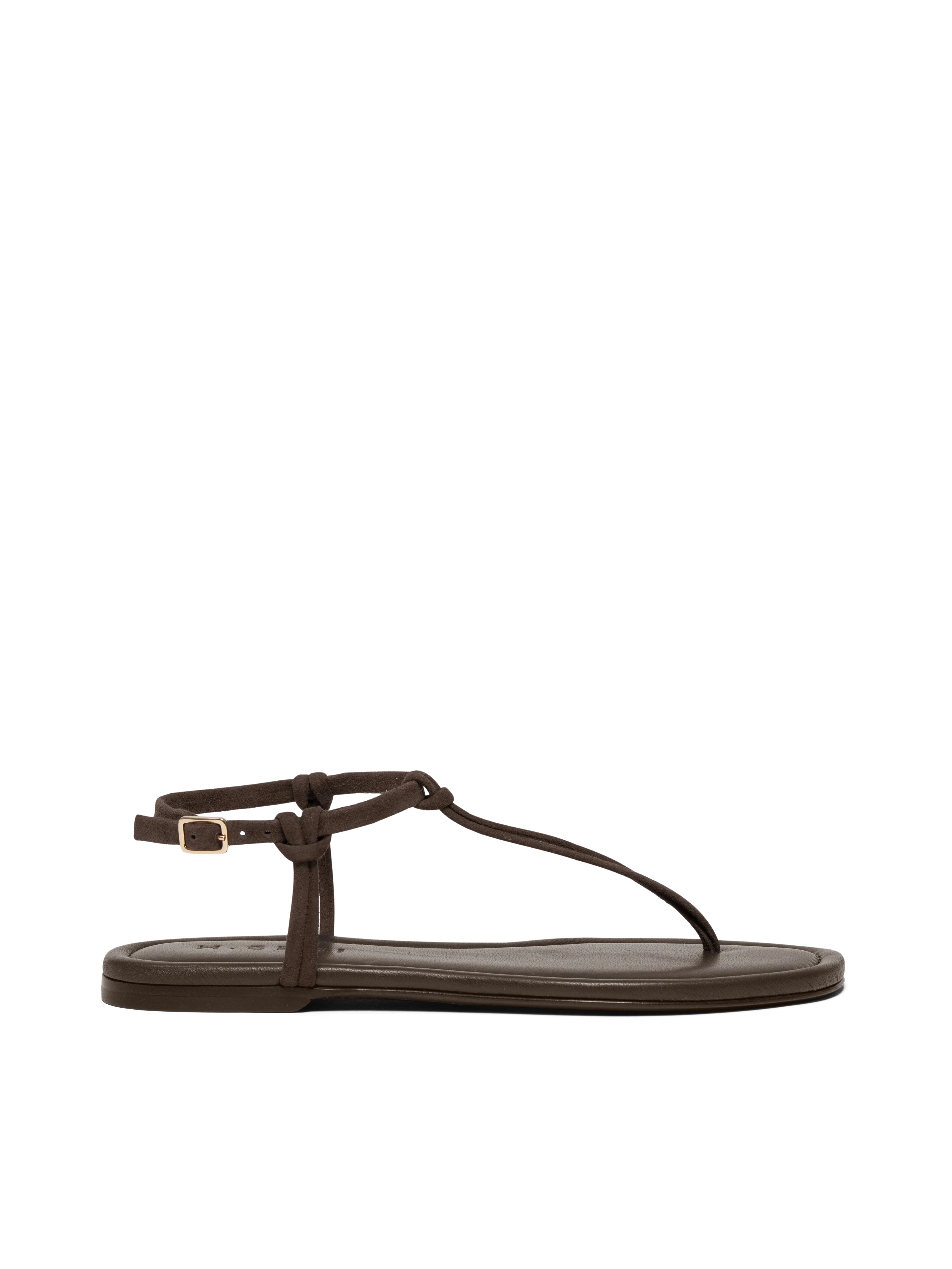 The Annalisa - Image 7