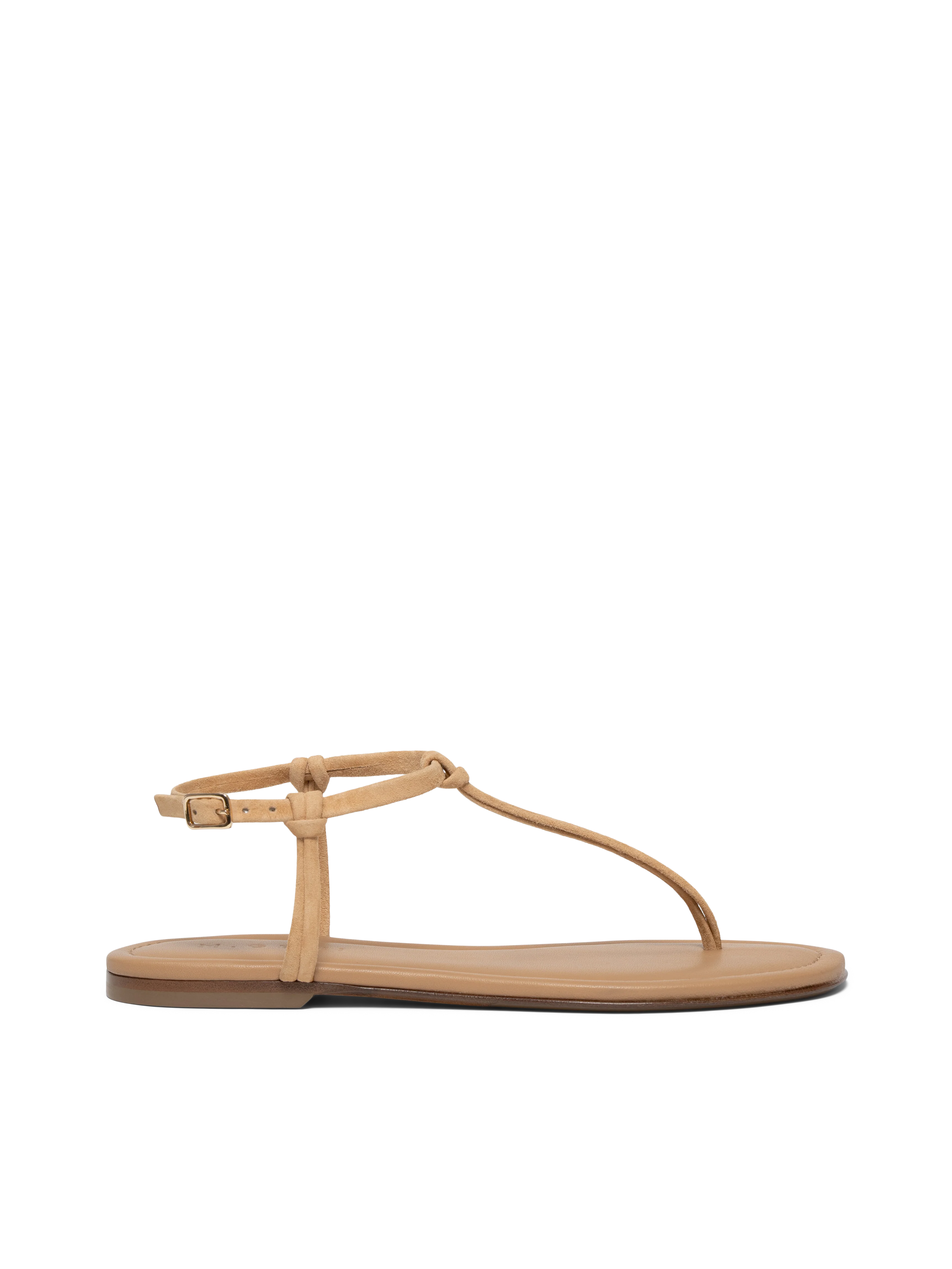 The Annalisa - Image 7