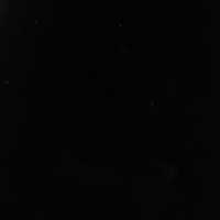The Bianca - Image 6