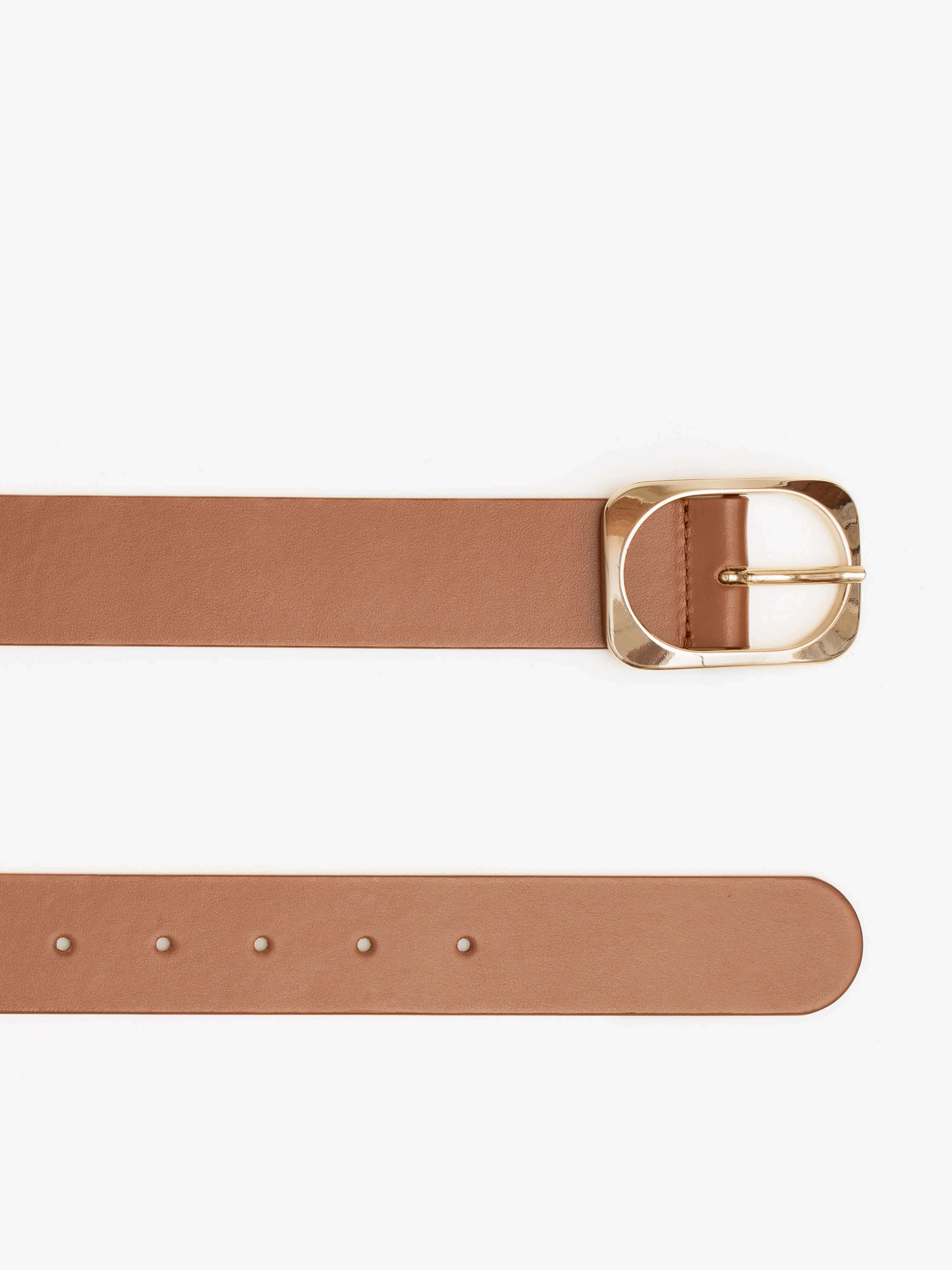 The Brigitta Belt - Image 3