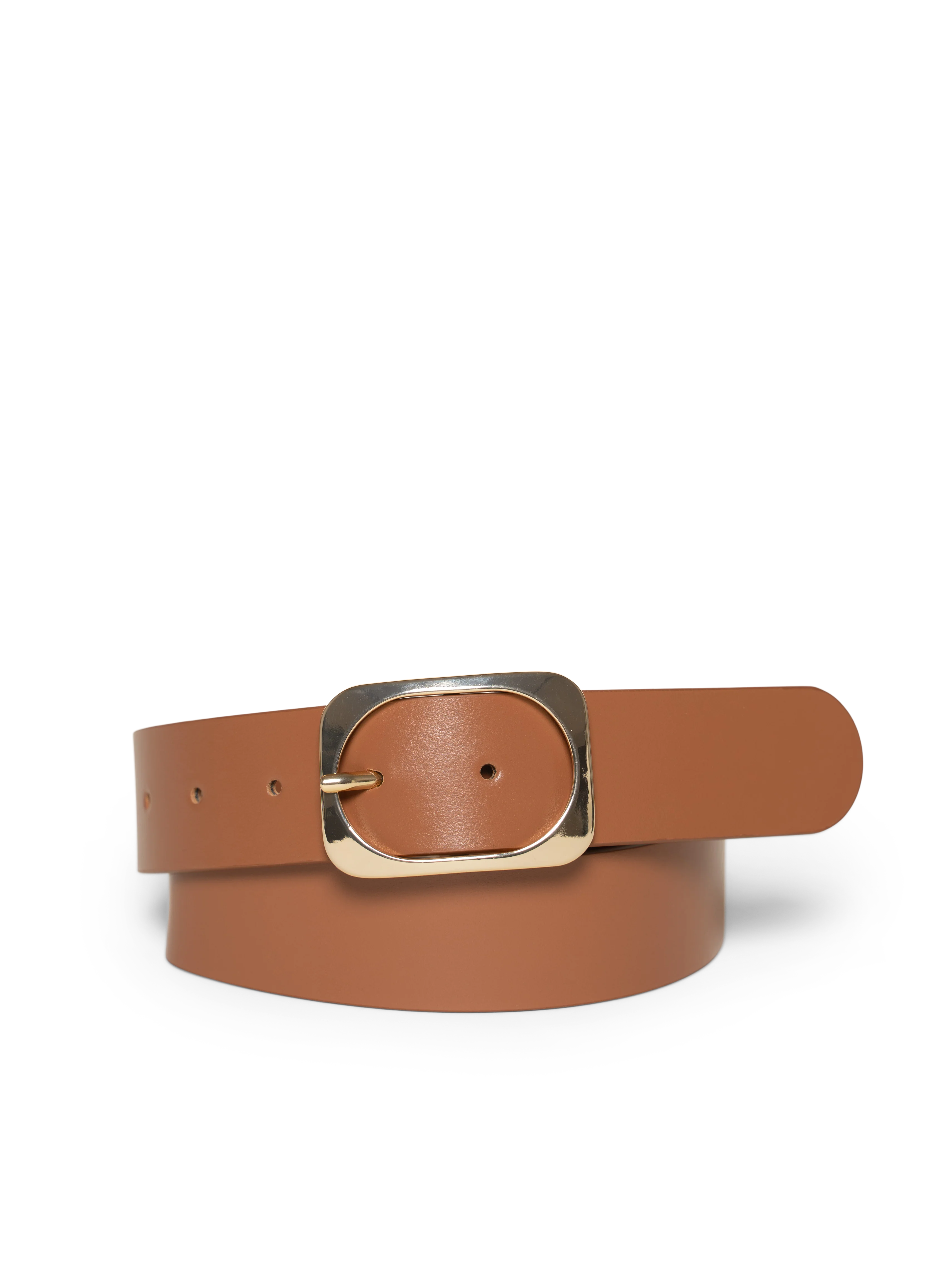 The Brigitta Belt - Image 5