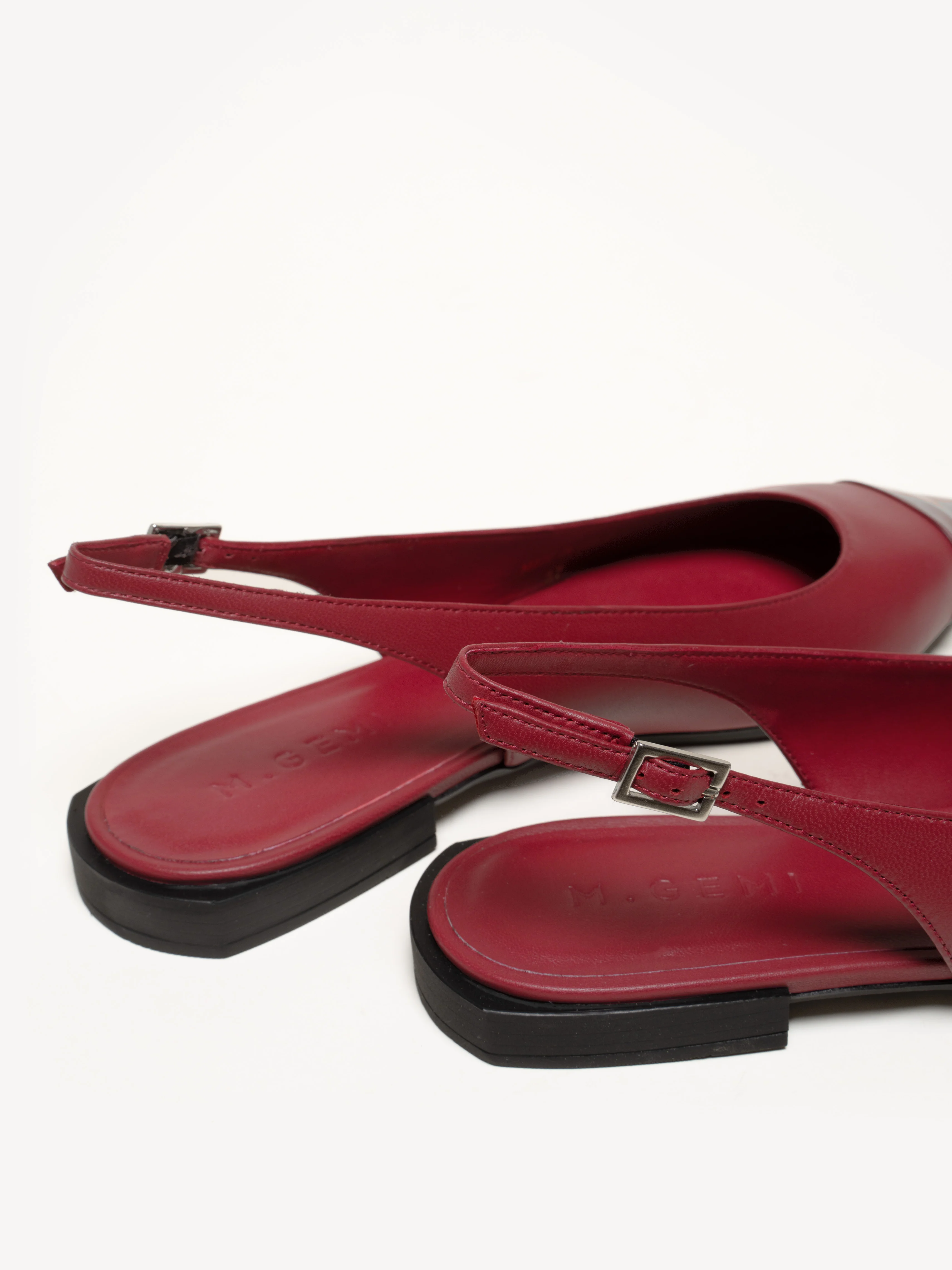 The Camelia - Image 4