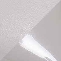The Camelia - Image 5