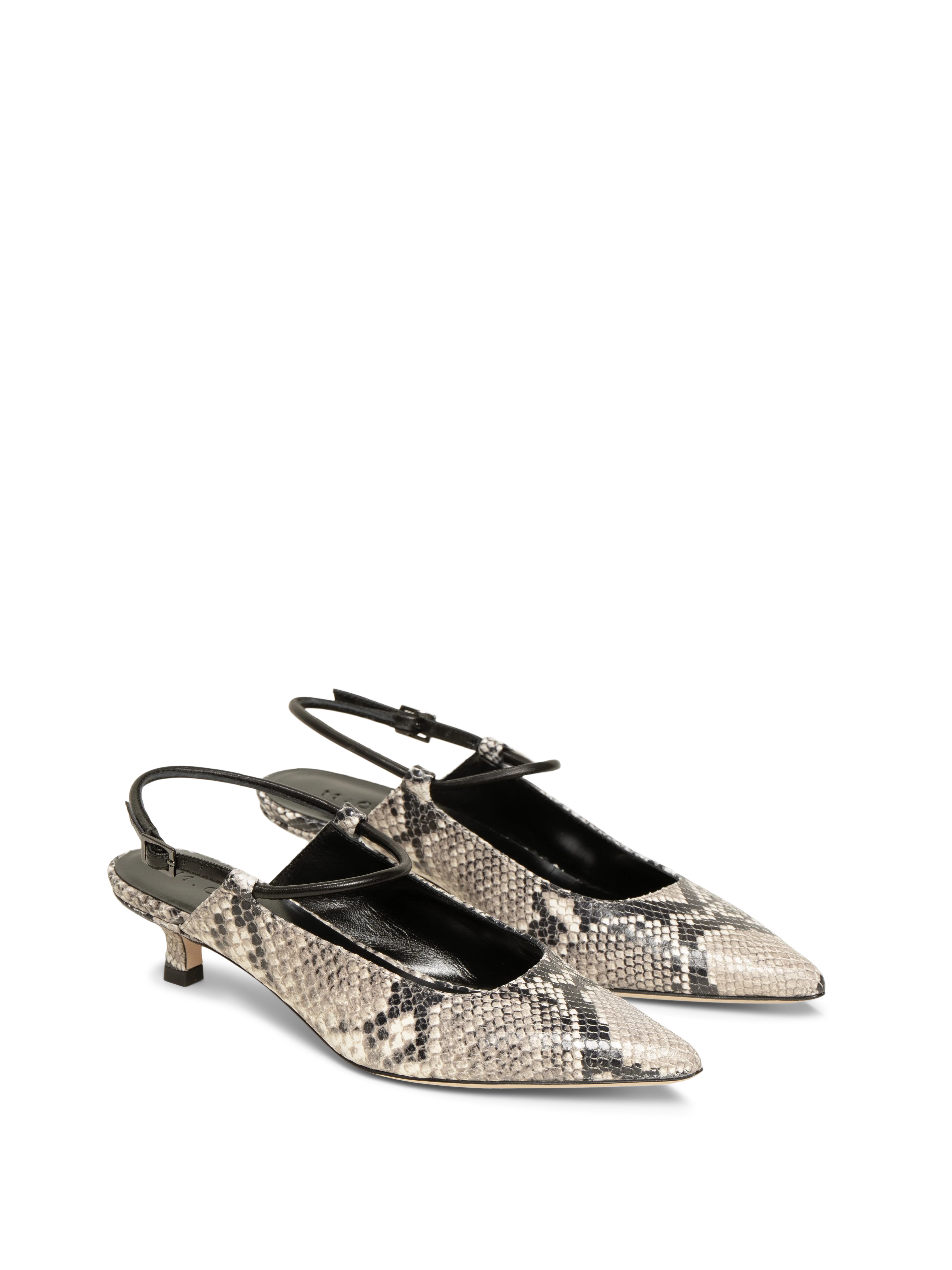 The Cassandra - Image 7