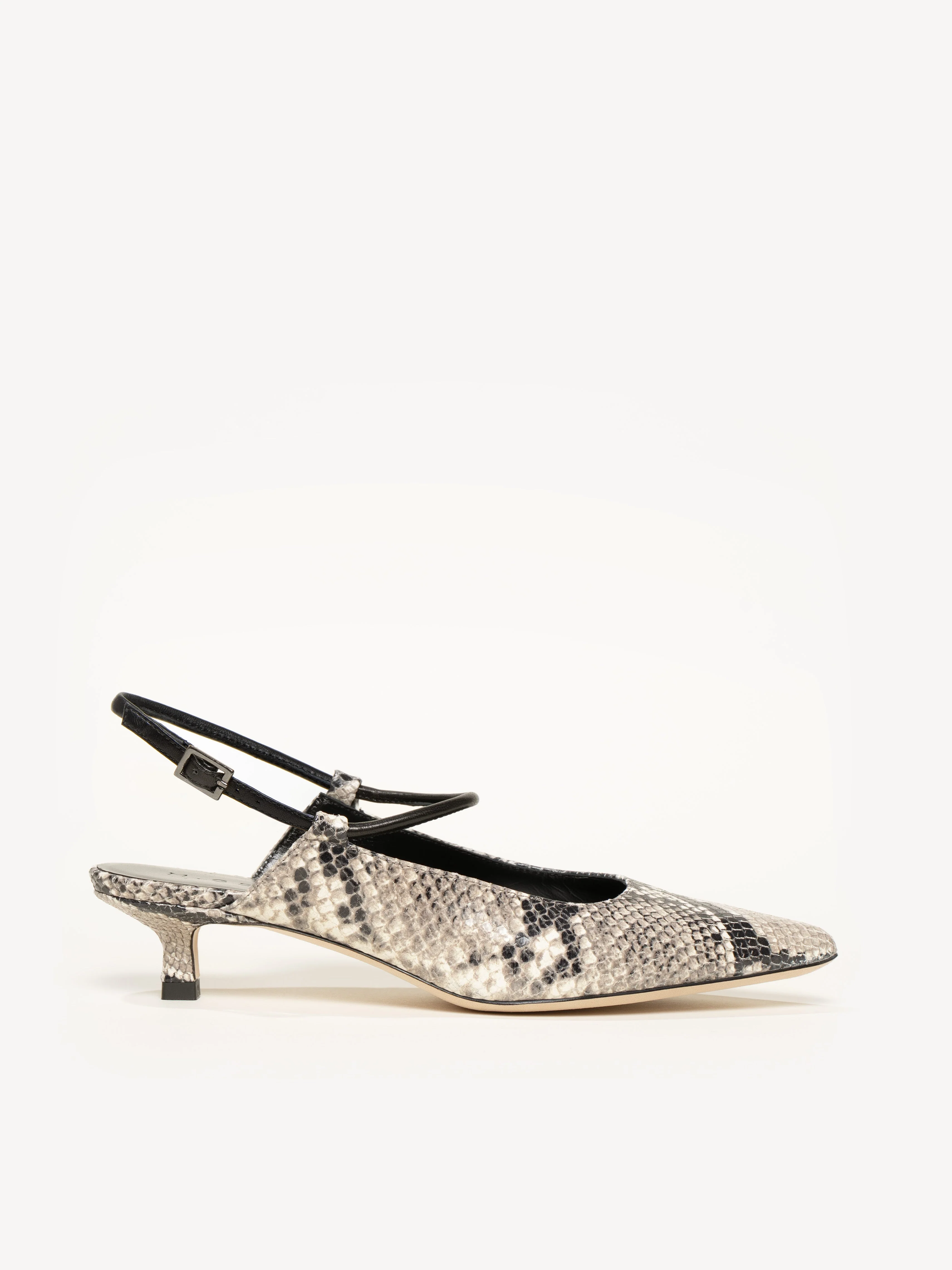 The Cassandra (Sample Sale)