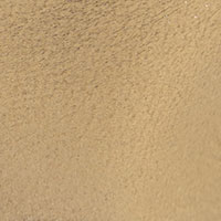The Caterina - Image 5