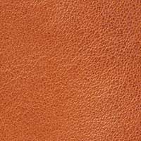 The Cristina (Sample Sale) - Image 7