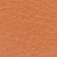 The Danza - Image 5