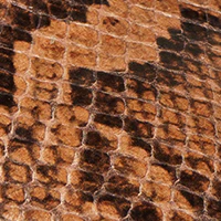 The Danza - Image 6