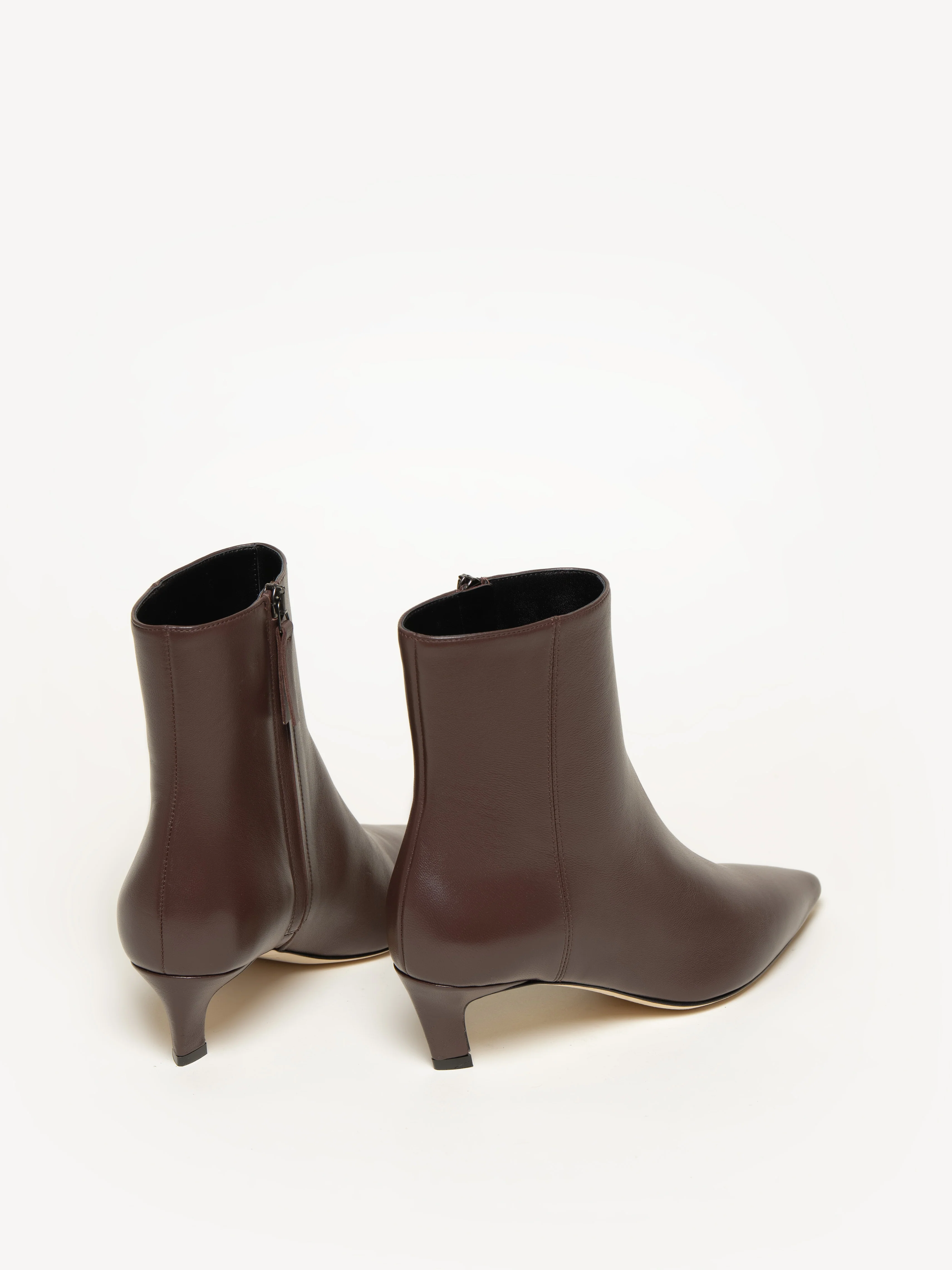 The Delfina - Image 3