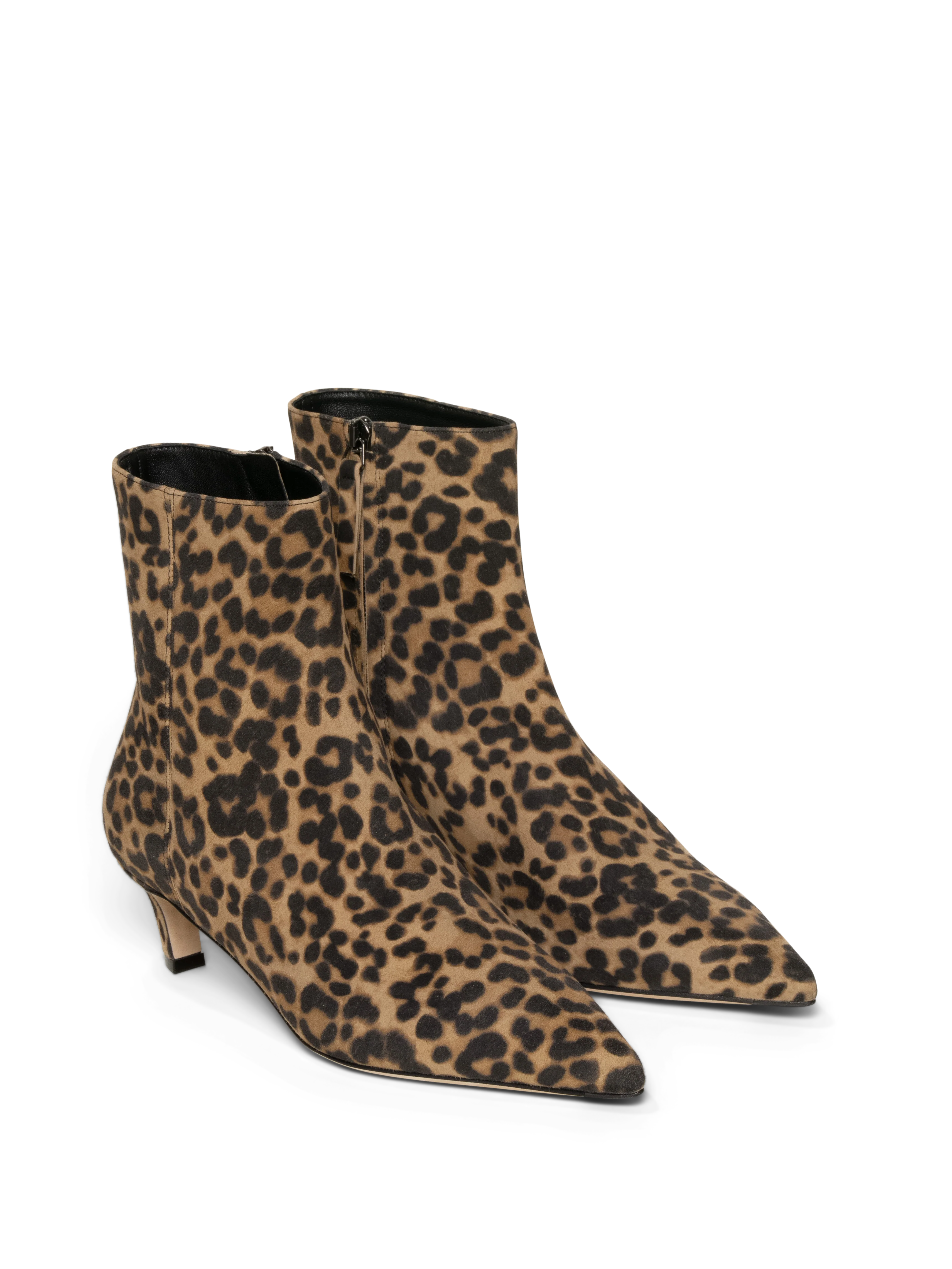 The Delfina - Image 10