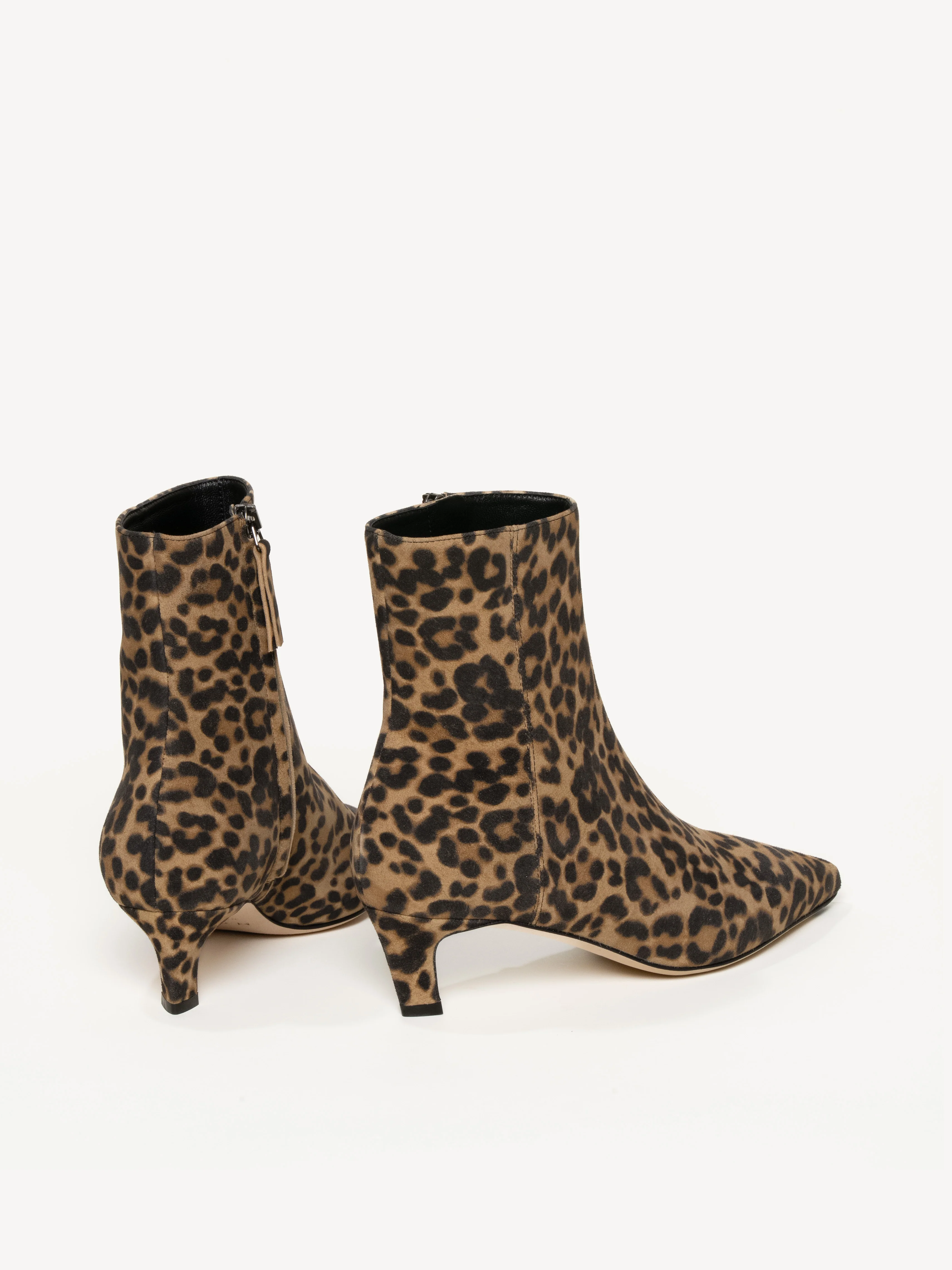 The Delfina - Image 3