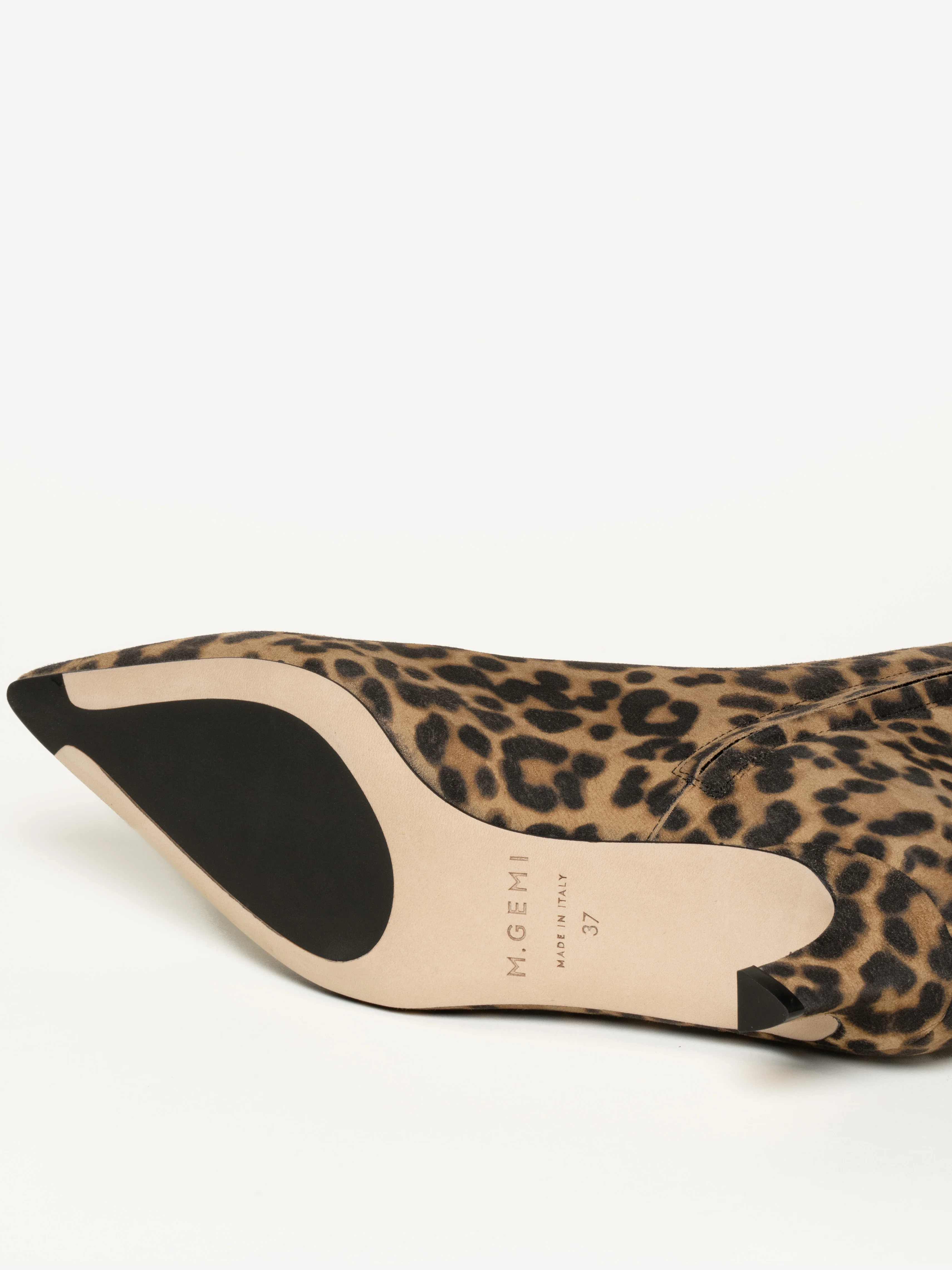 The Delfina - Image 5