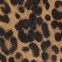 The Delfina - Image 6