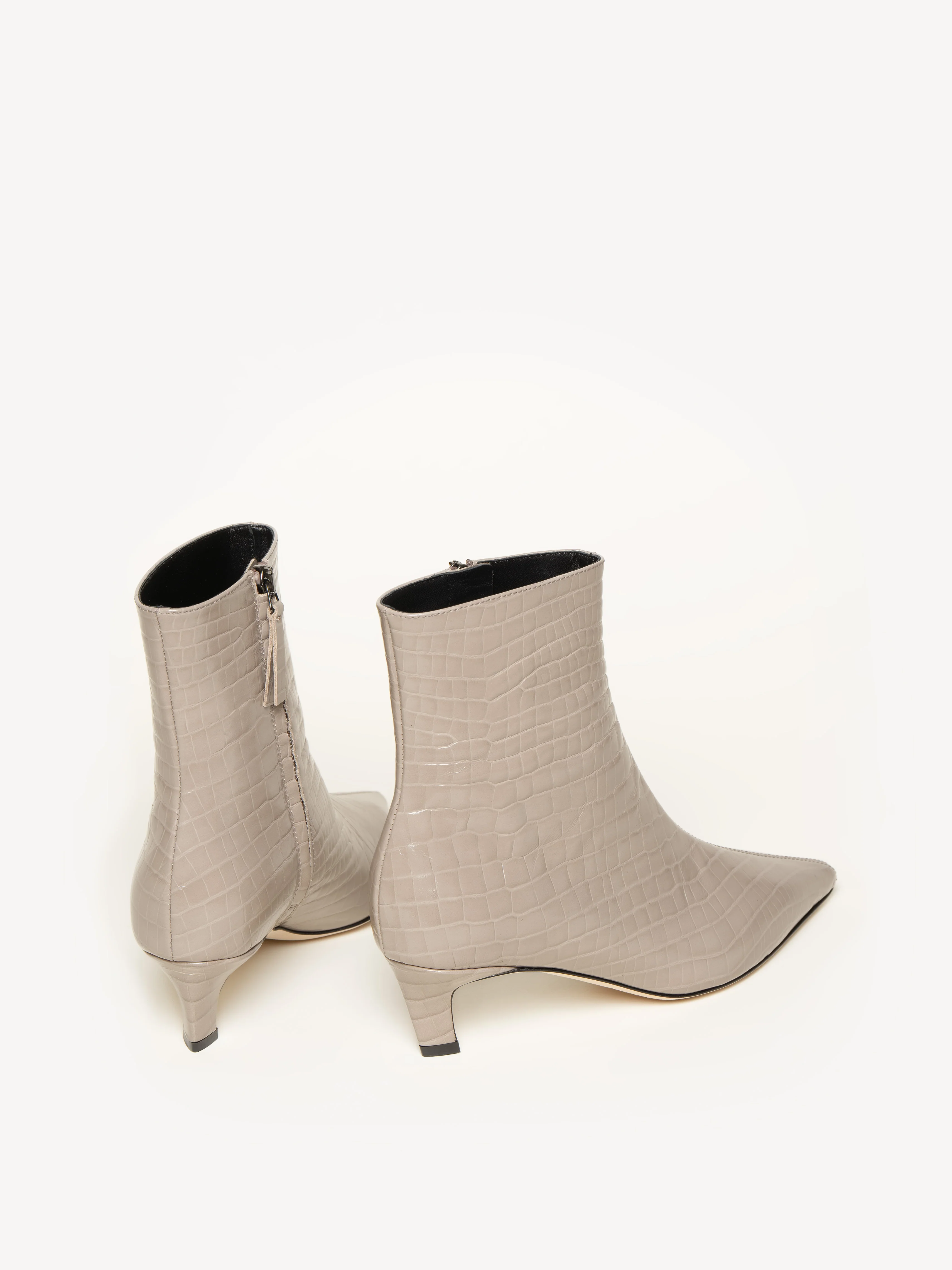 The Delfina - Image 3
