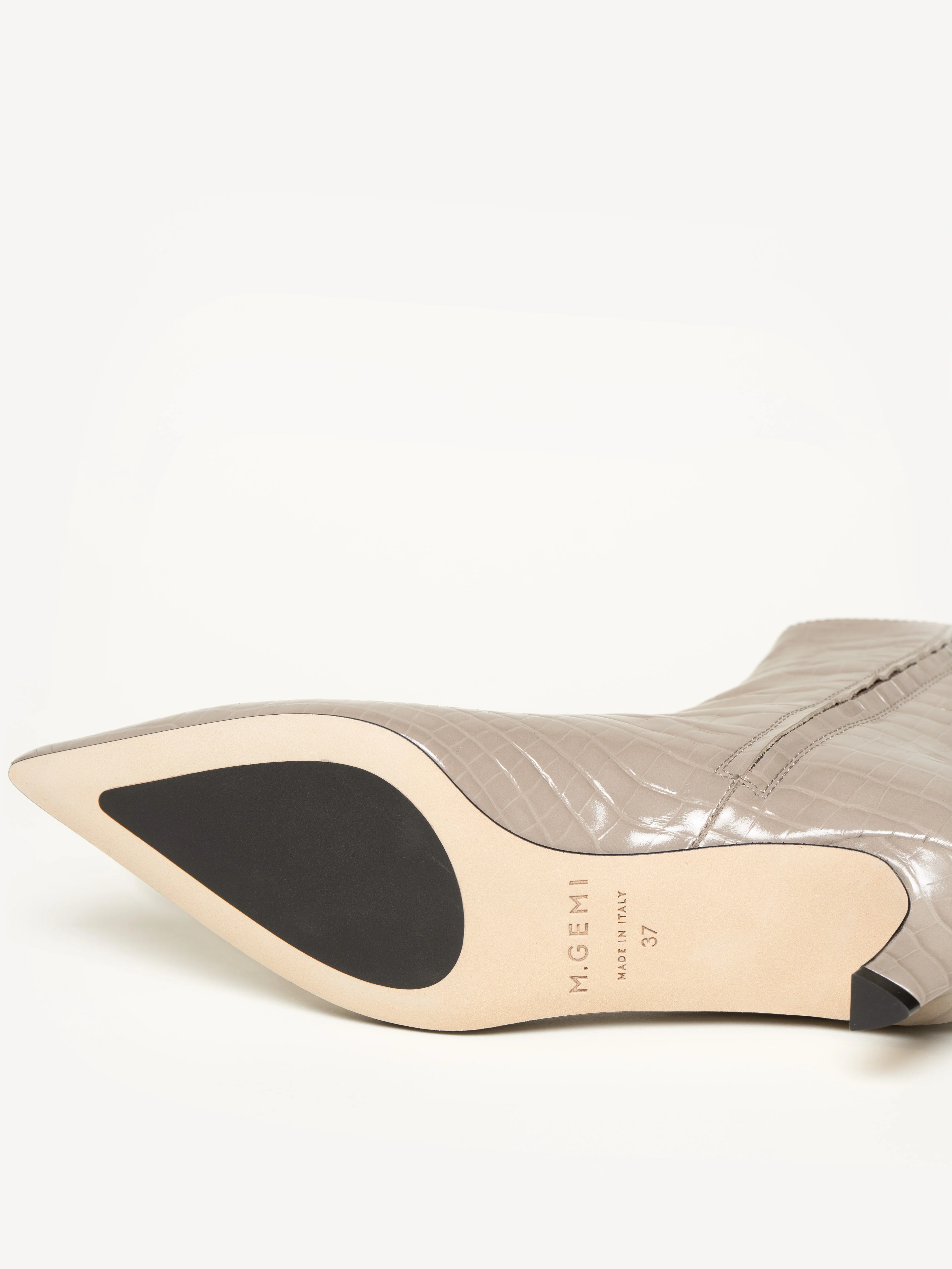 The Delfina - Image 5