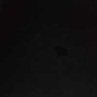 The Diletta - Image 7
