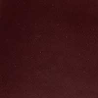 The Diletta - Image 7