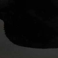The Enrica - Image 7