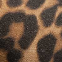 The Esatto 70mm (Sample Sale) - Image 5