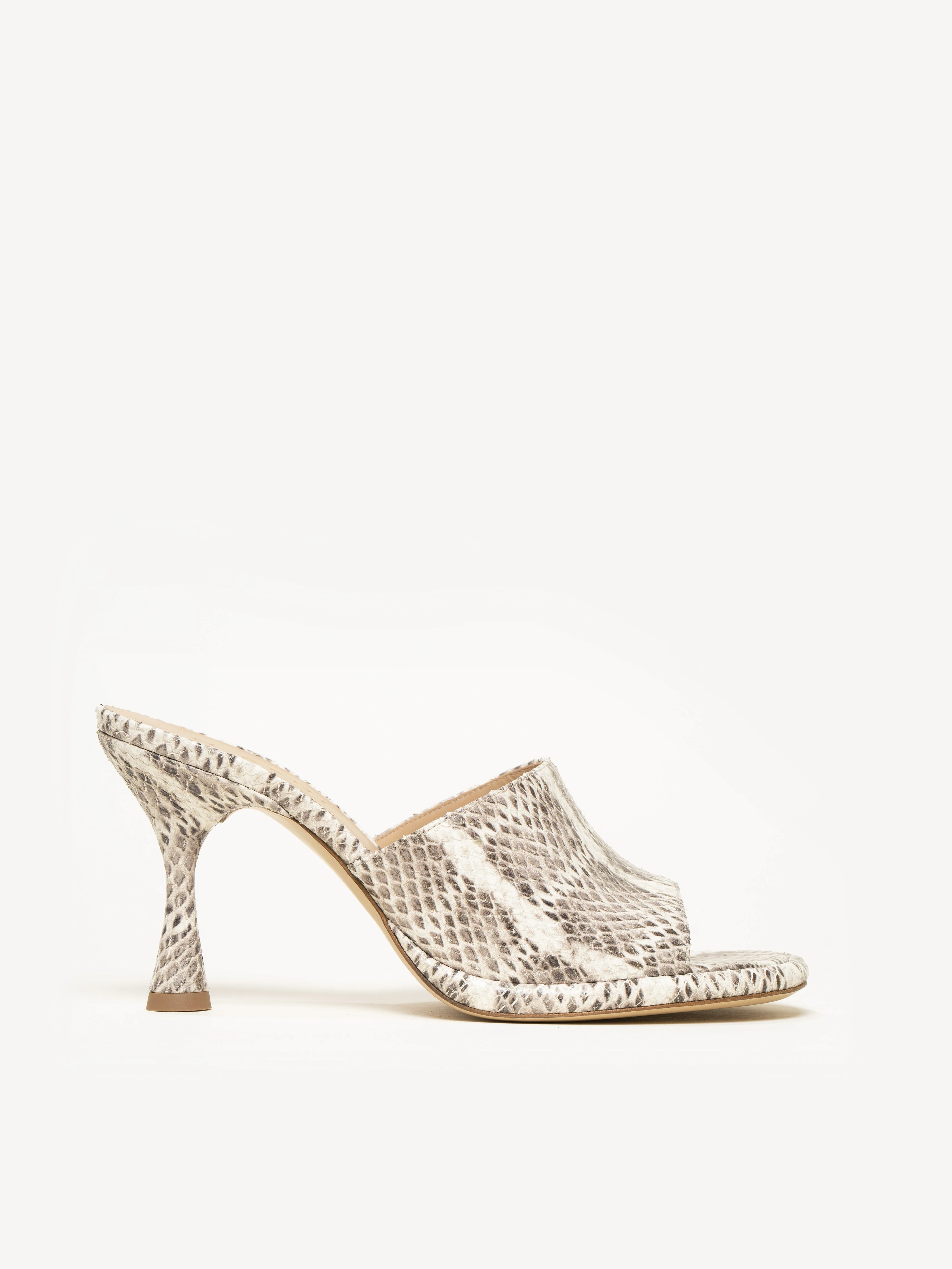 The Federica - Image 2