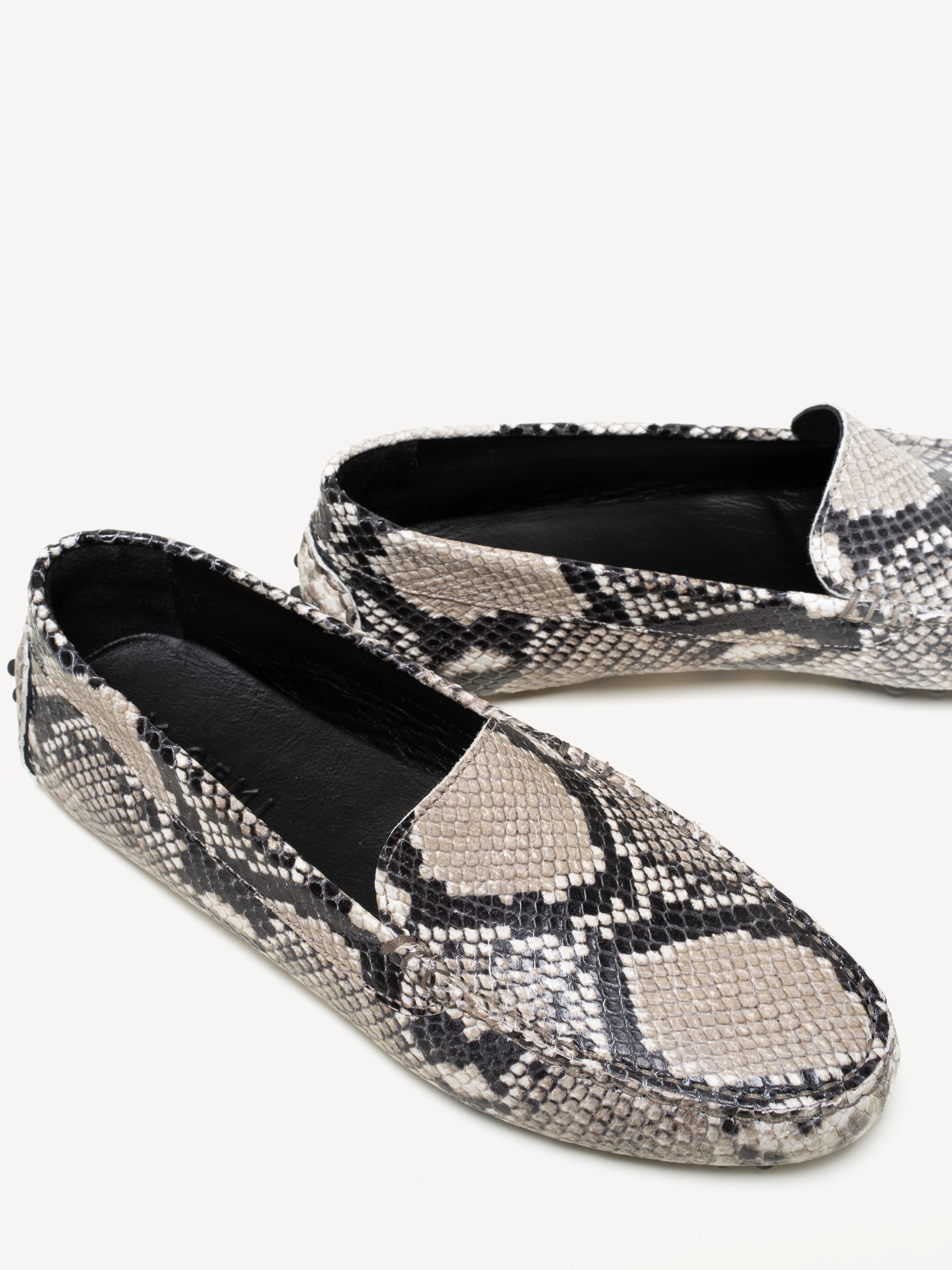The Felize Python - Image 3