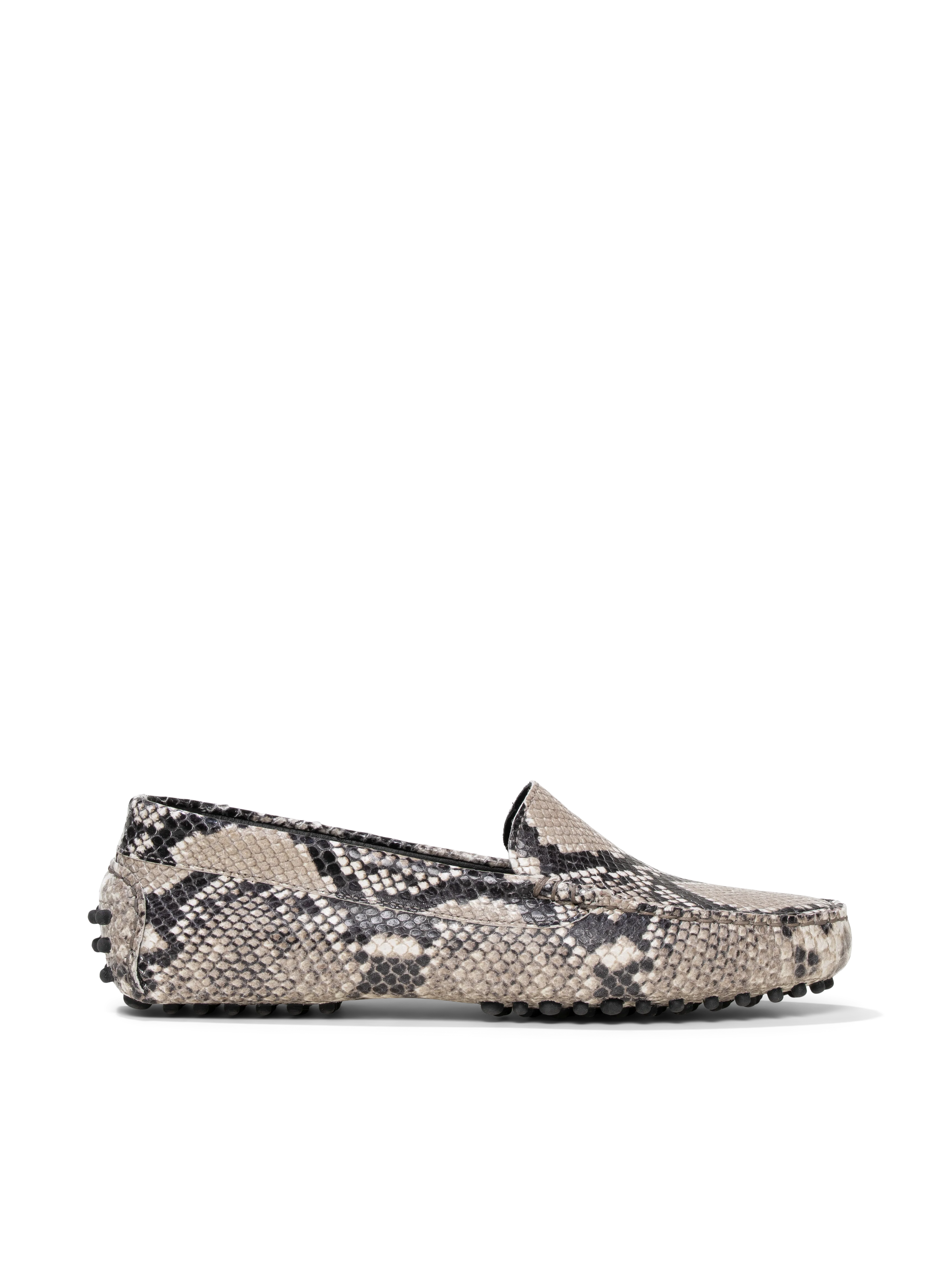 The Felize Python - Image 6