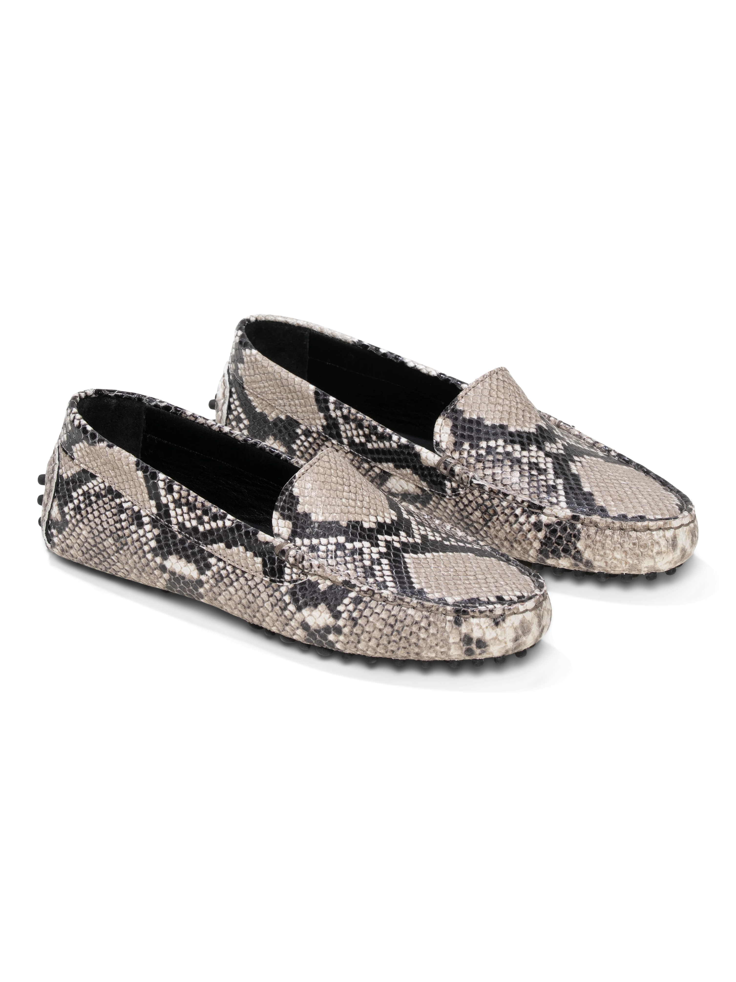 The Felize Python - Image 7