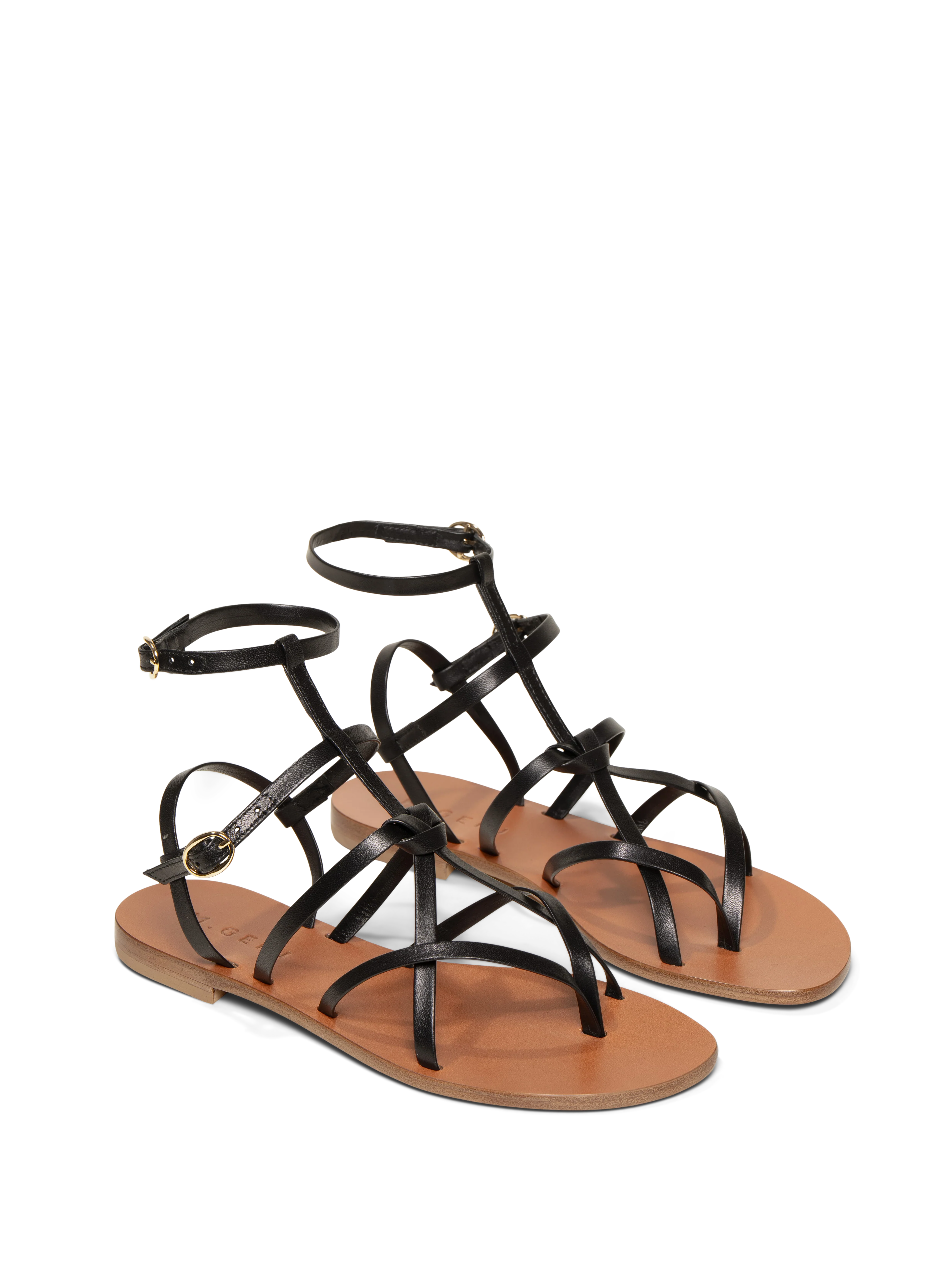 The Ginevra - Image 7