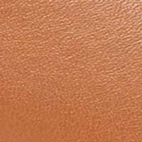 The Gloria - Image 6