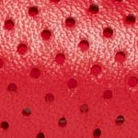 The Lisinda Lattice - Image 6