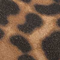 The Lisinda (Sample Sale) - Image 5