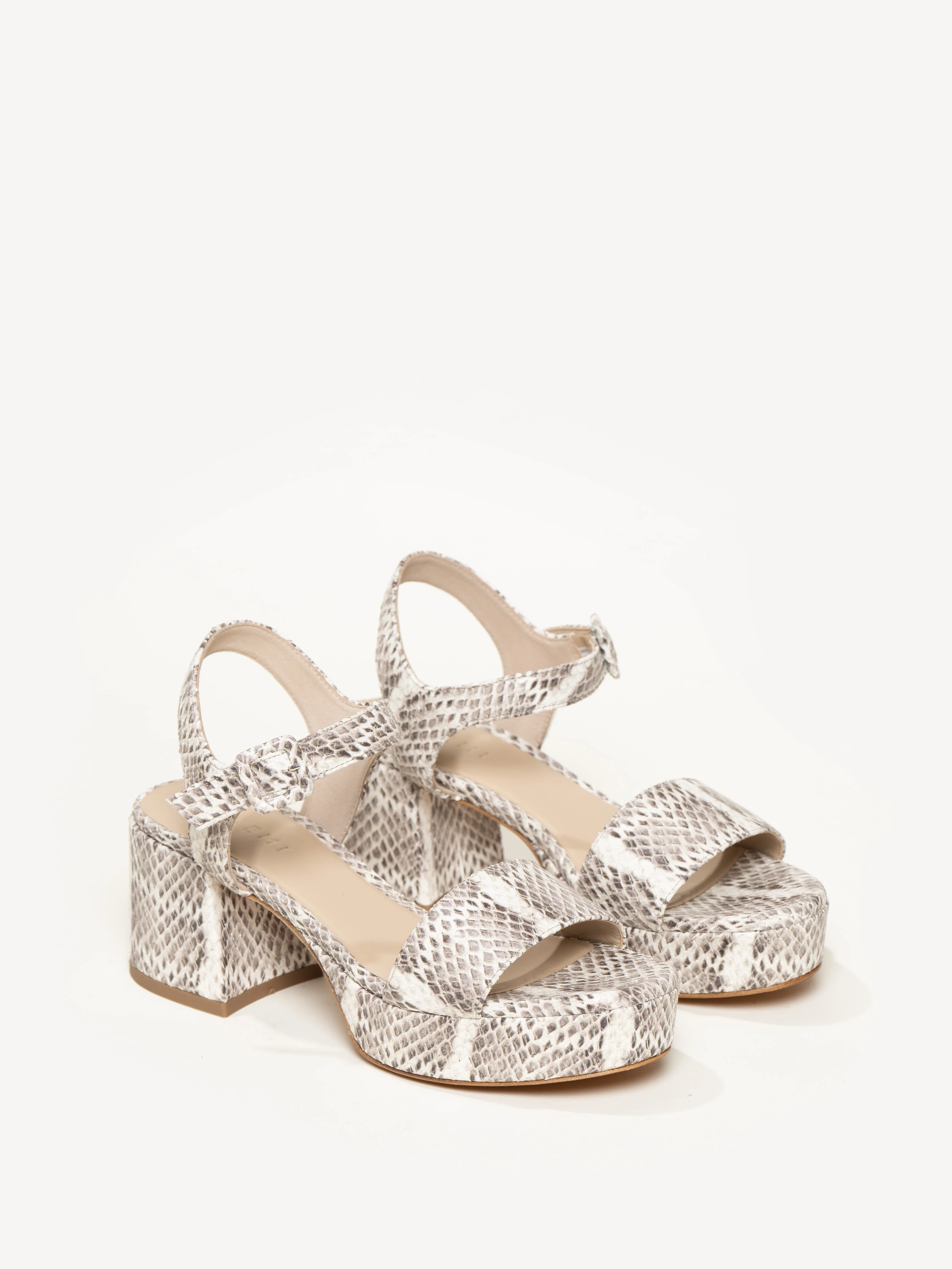 The Lizza Nuova - Image 2