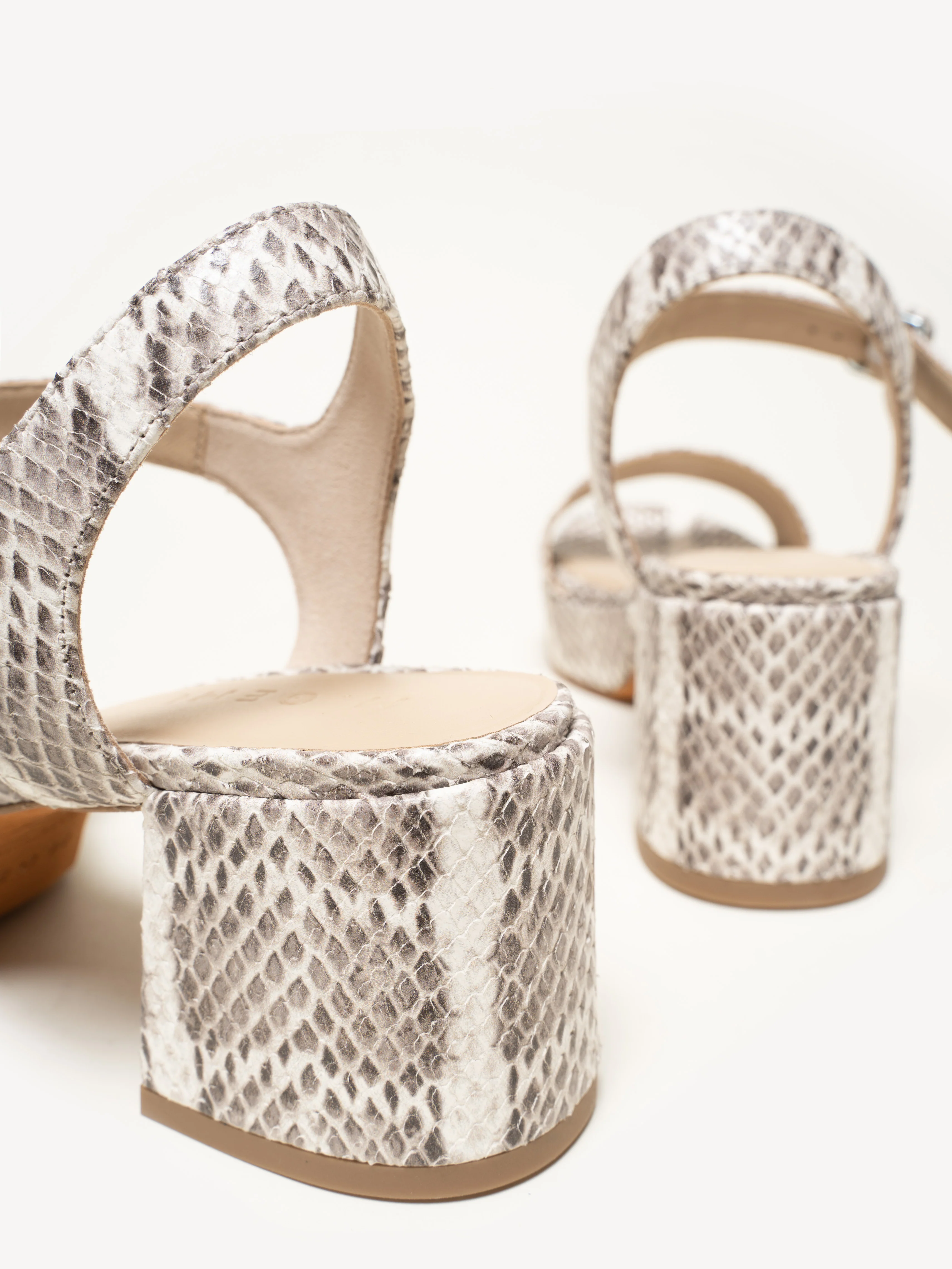 The Lizza Nuova - Image 3