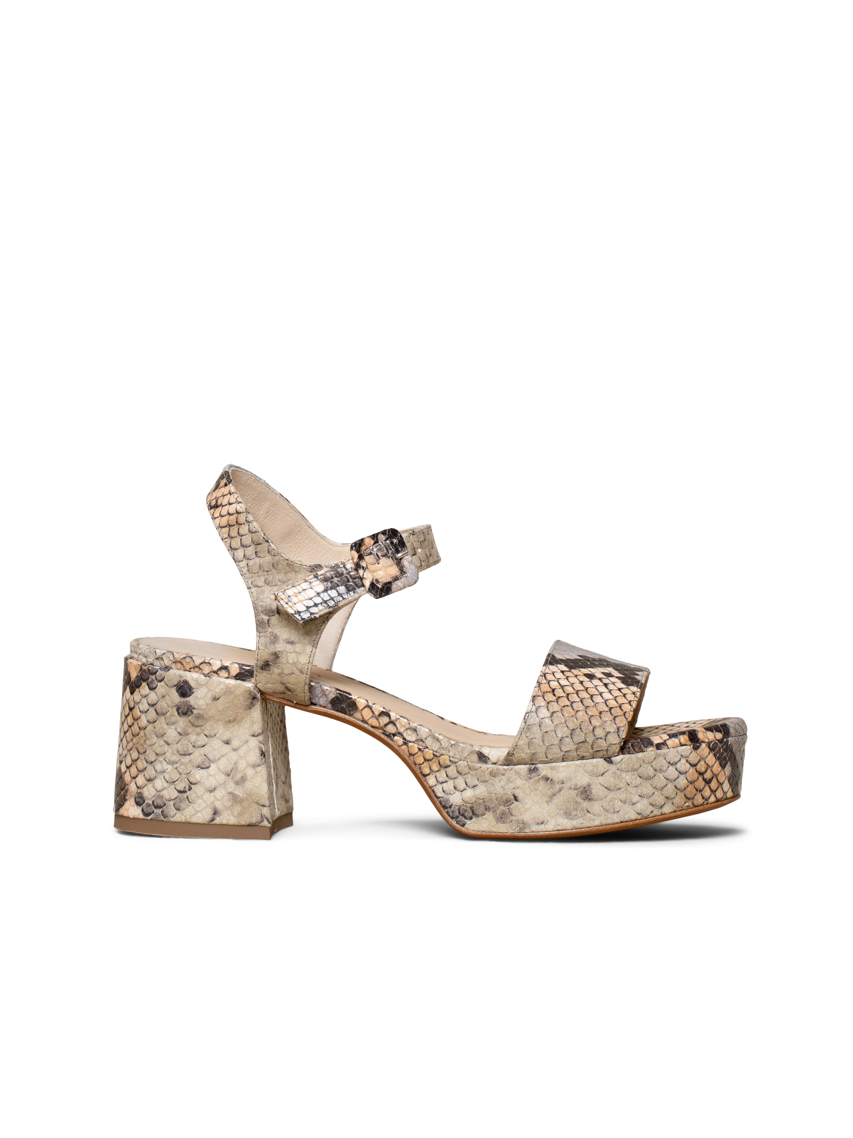 The Lizza Nuova - Image 8