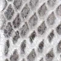 The Lorenza - Image 4