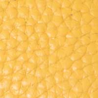 The Lorenza - Image 4