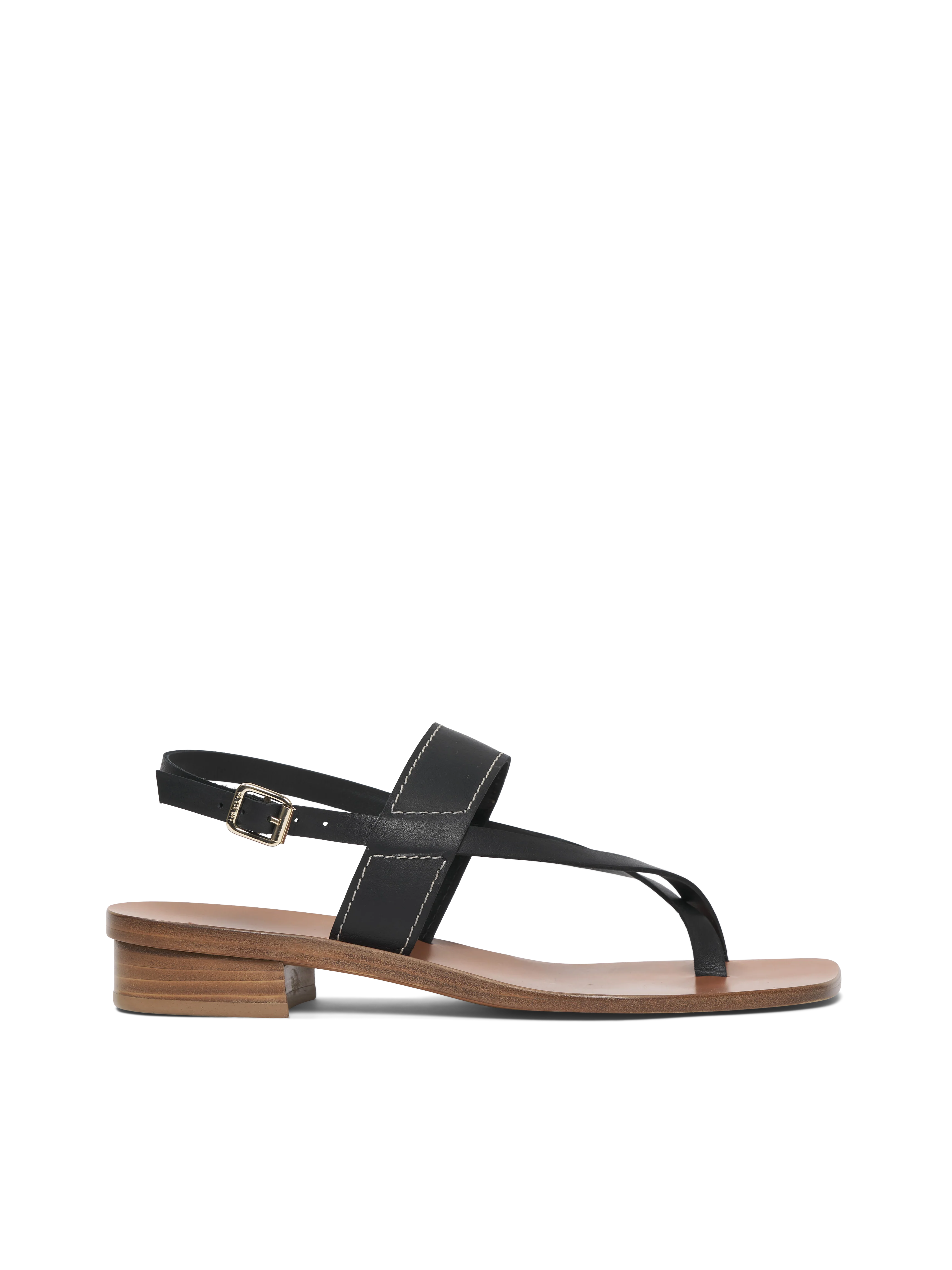 The Luce - Image 5