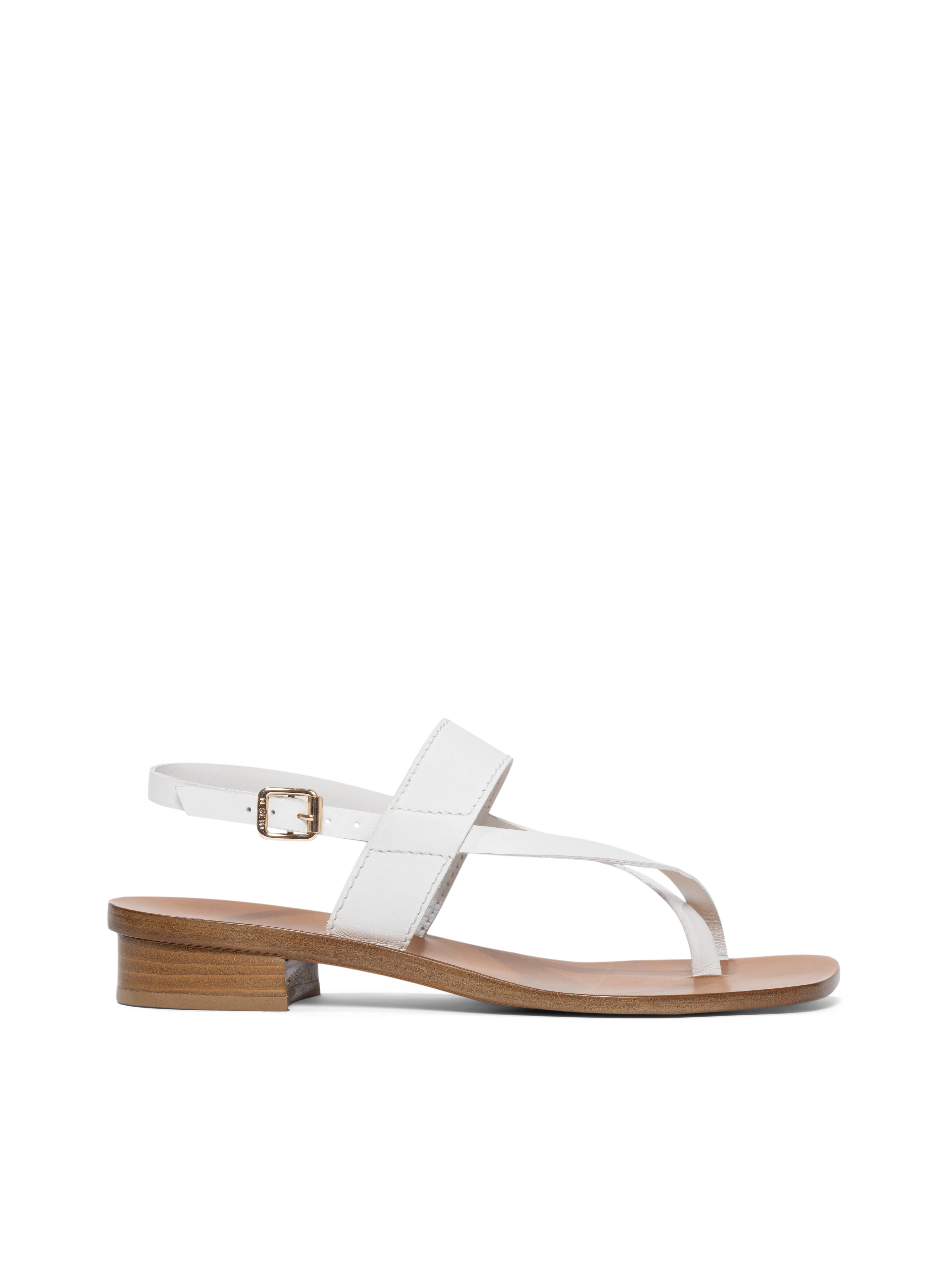 The Luce - Image 5