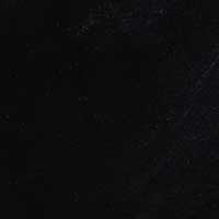 The Lucido (Sample Sale) - Image 5