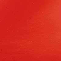 The Lucido (Sample Sale) - Image 5