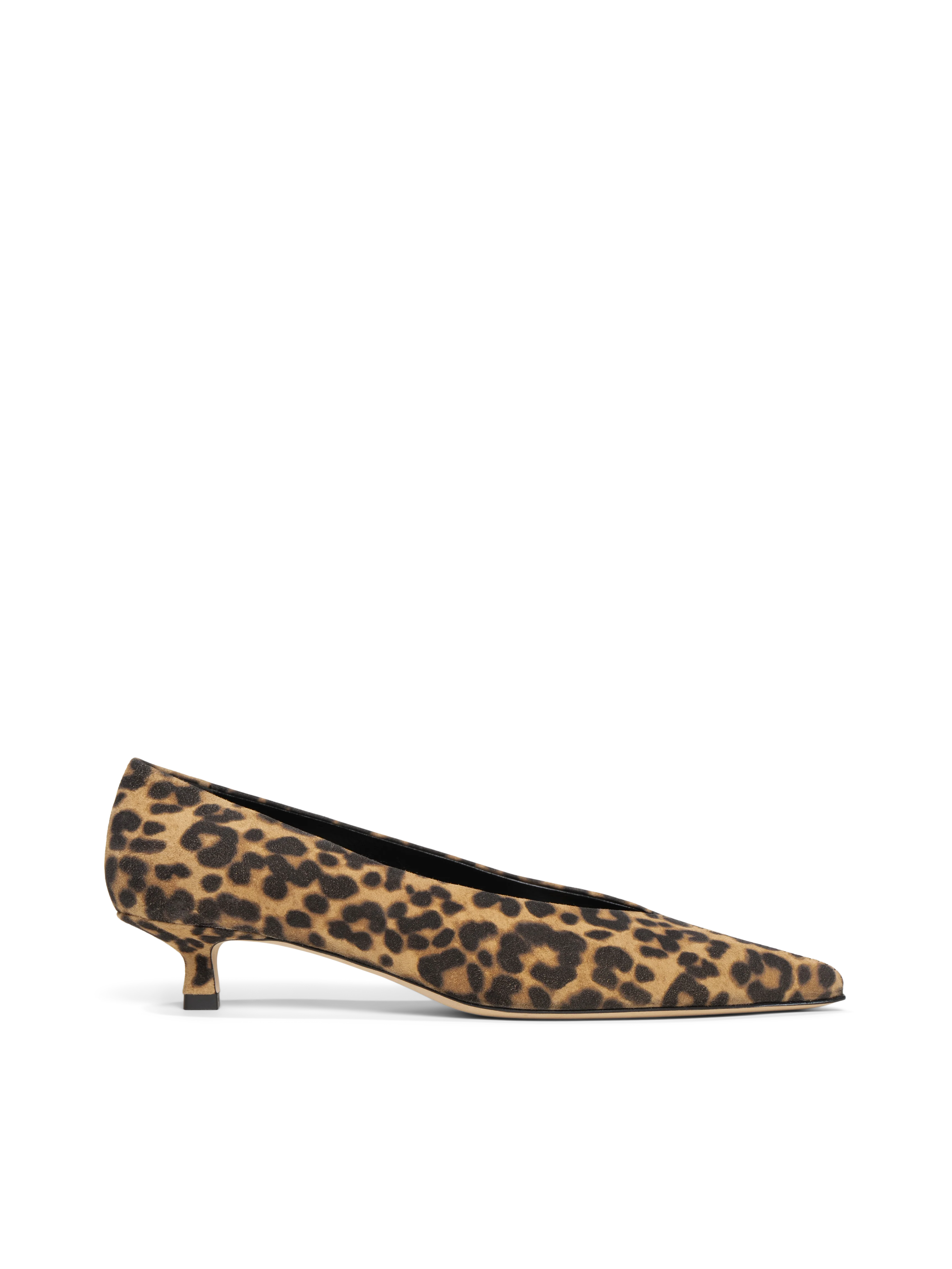 The Marzia - Image 8