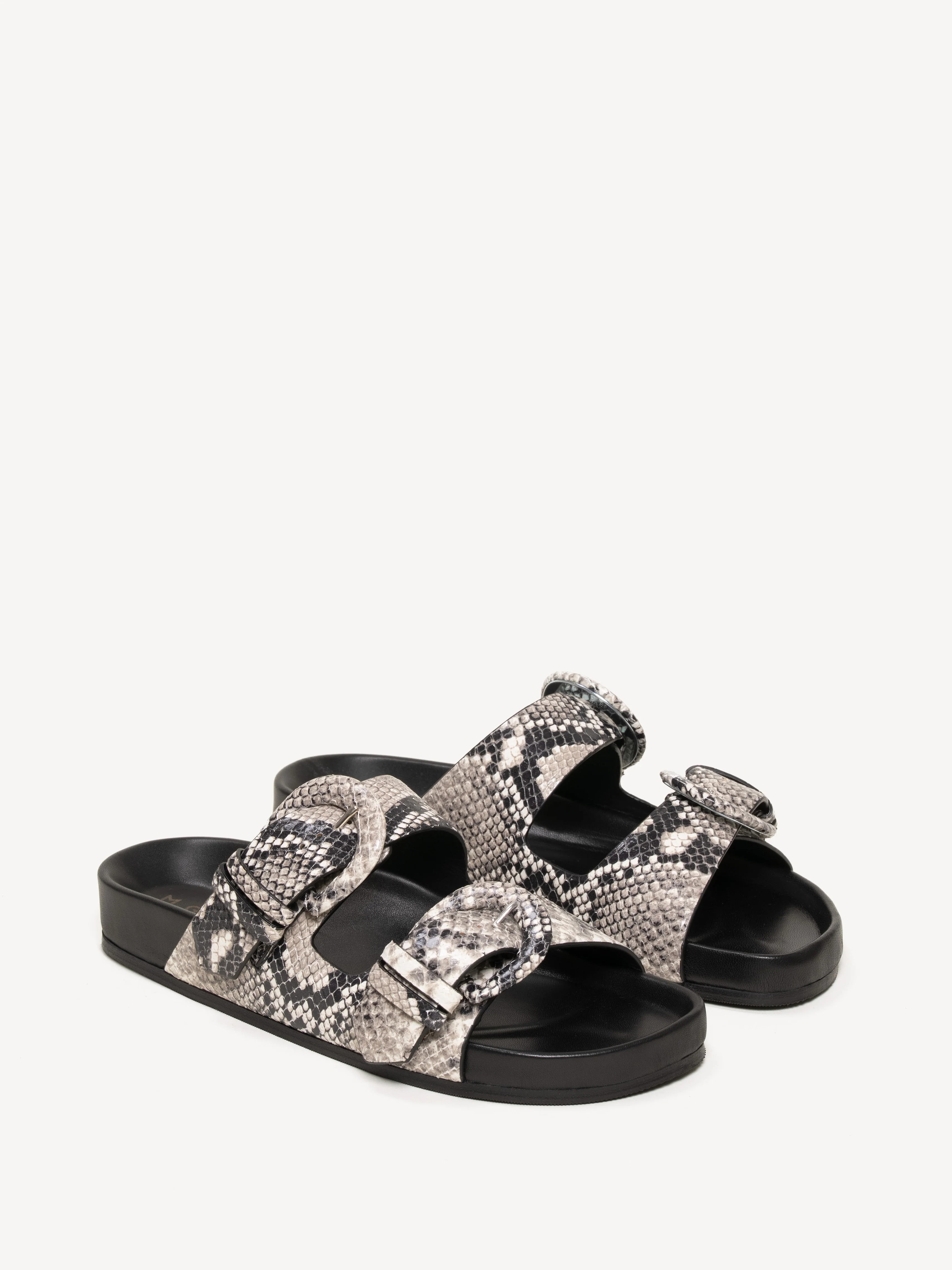 The Matilde Due - Image 2