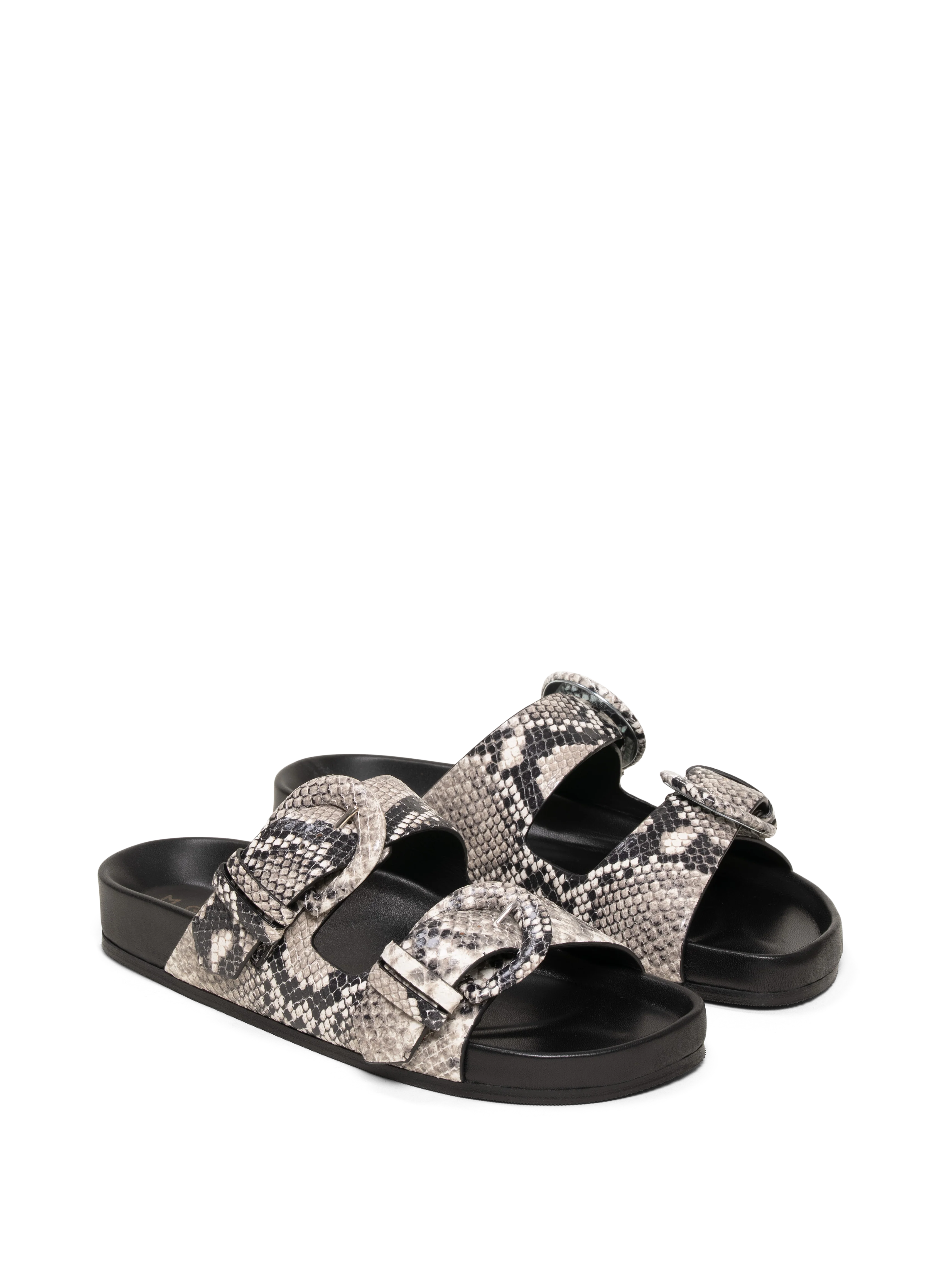 The Matilde Due - Image 7