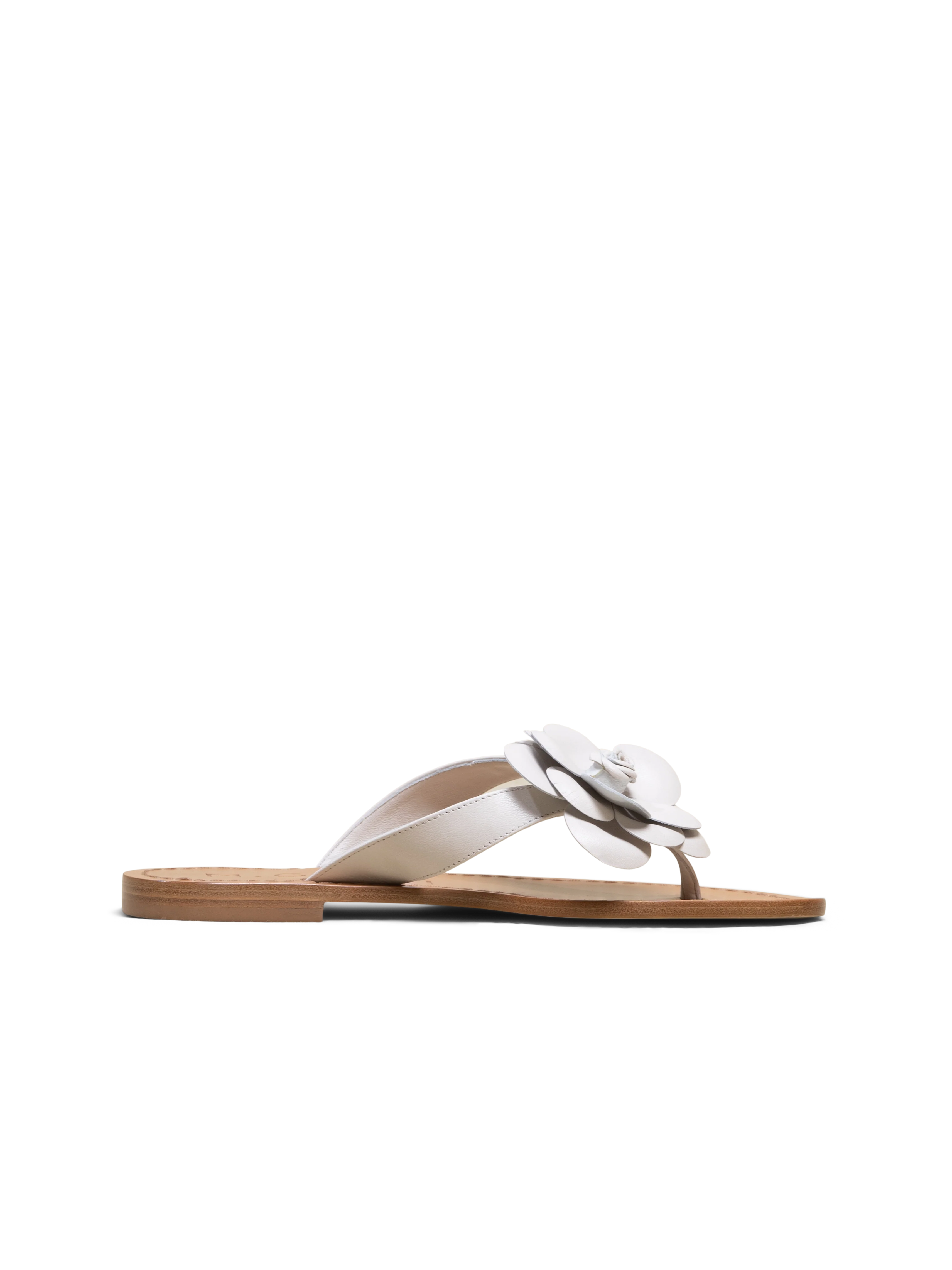 The Medio Fiore - Image 7
