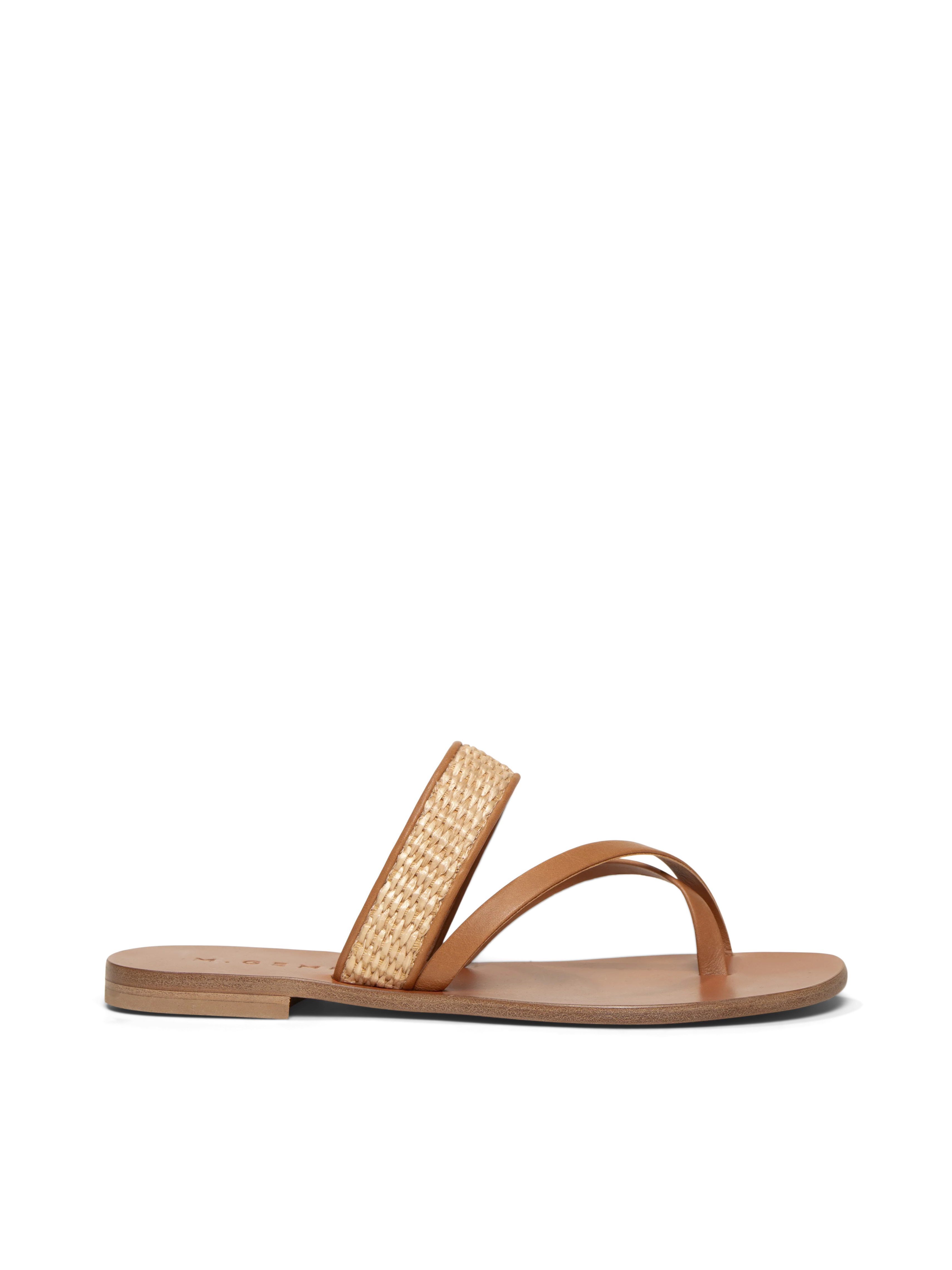 The Medio - Image 6