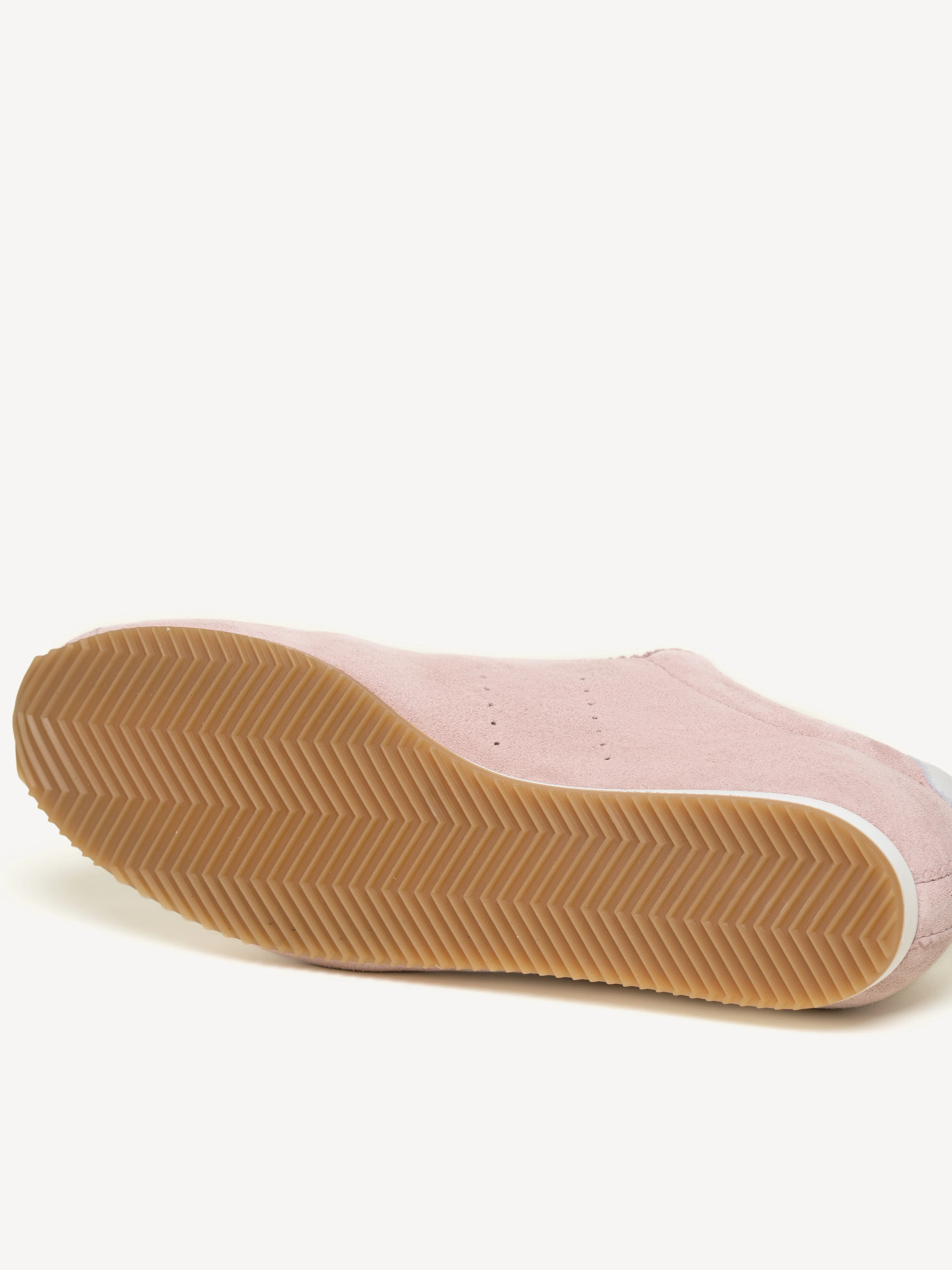 The Morena - Image 7