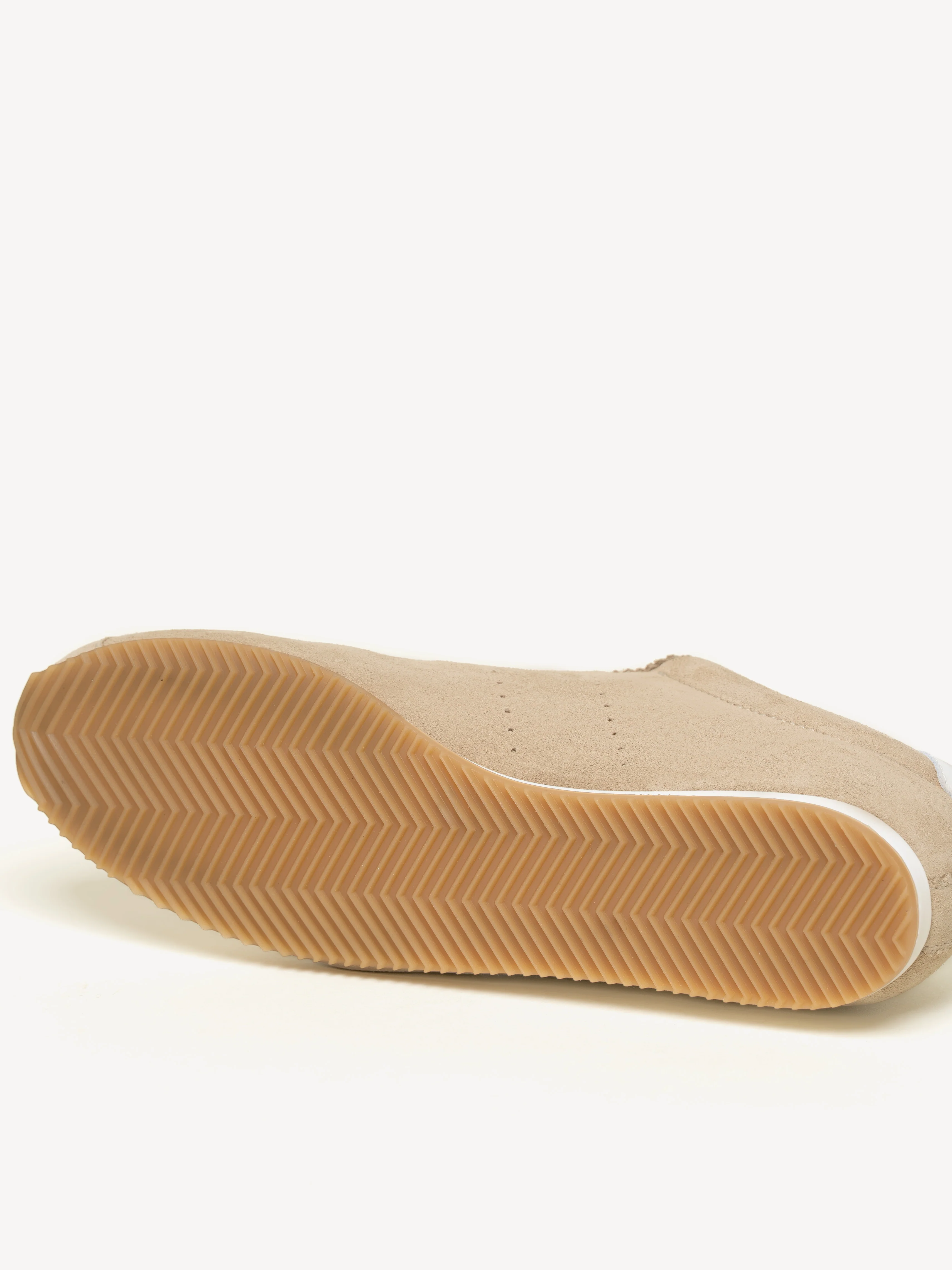 The Morena - Image 7