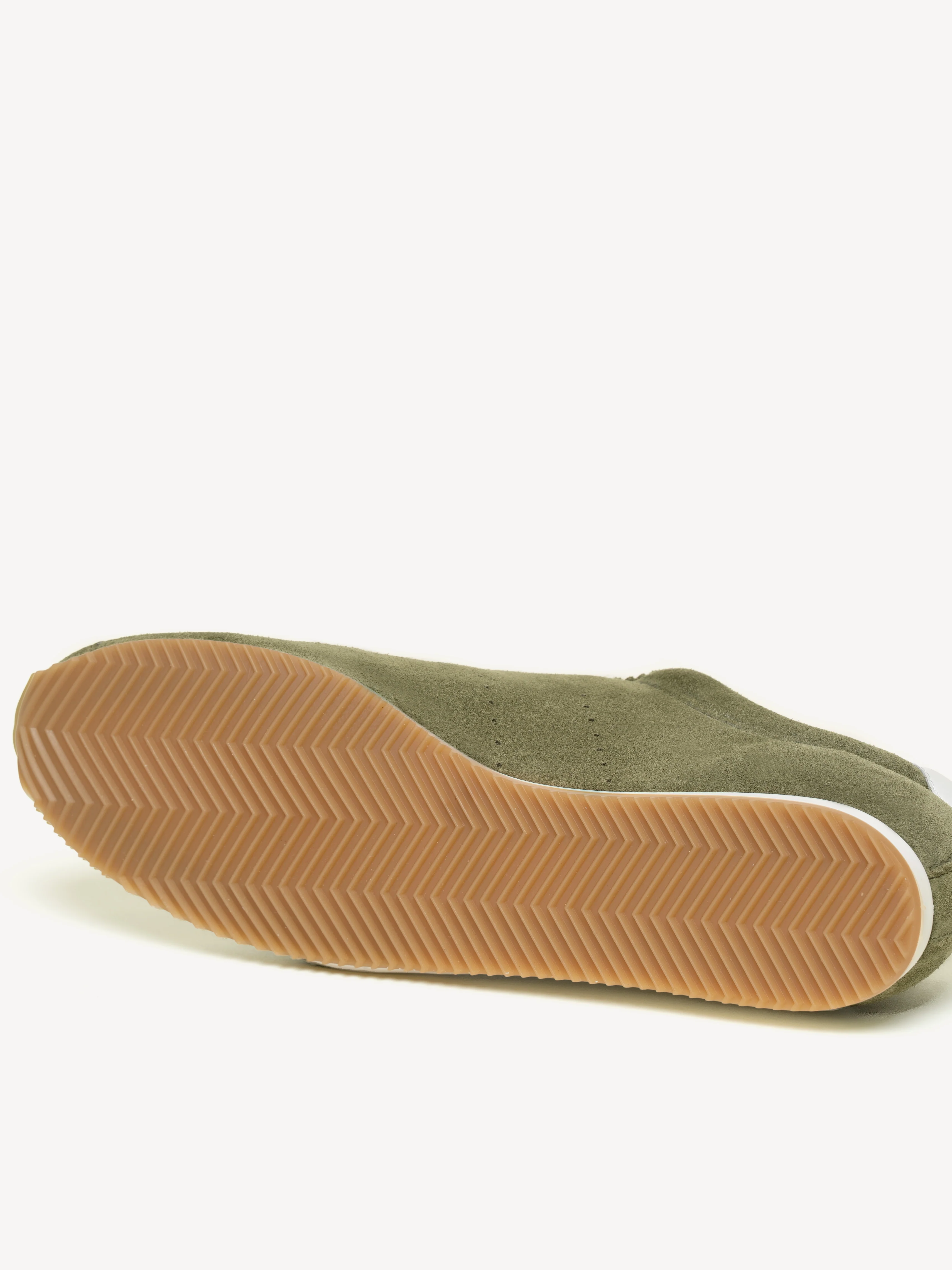 The Morena - Image 7